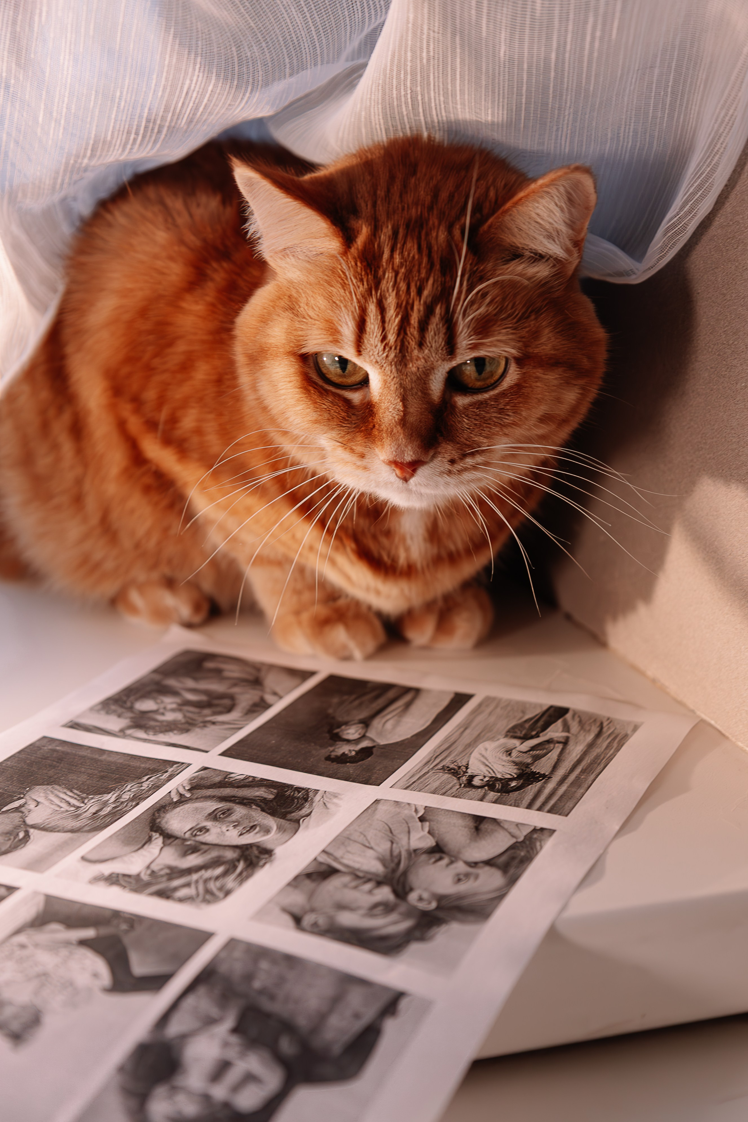 Детская фотосессия