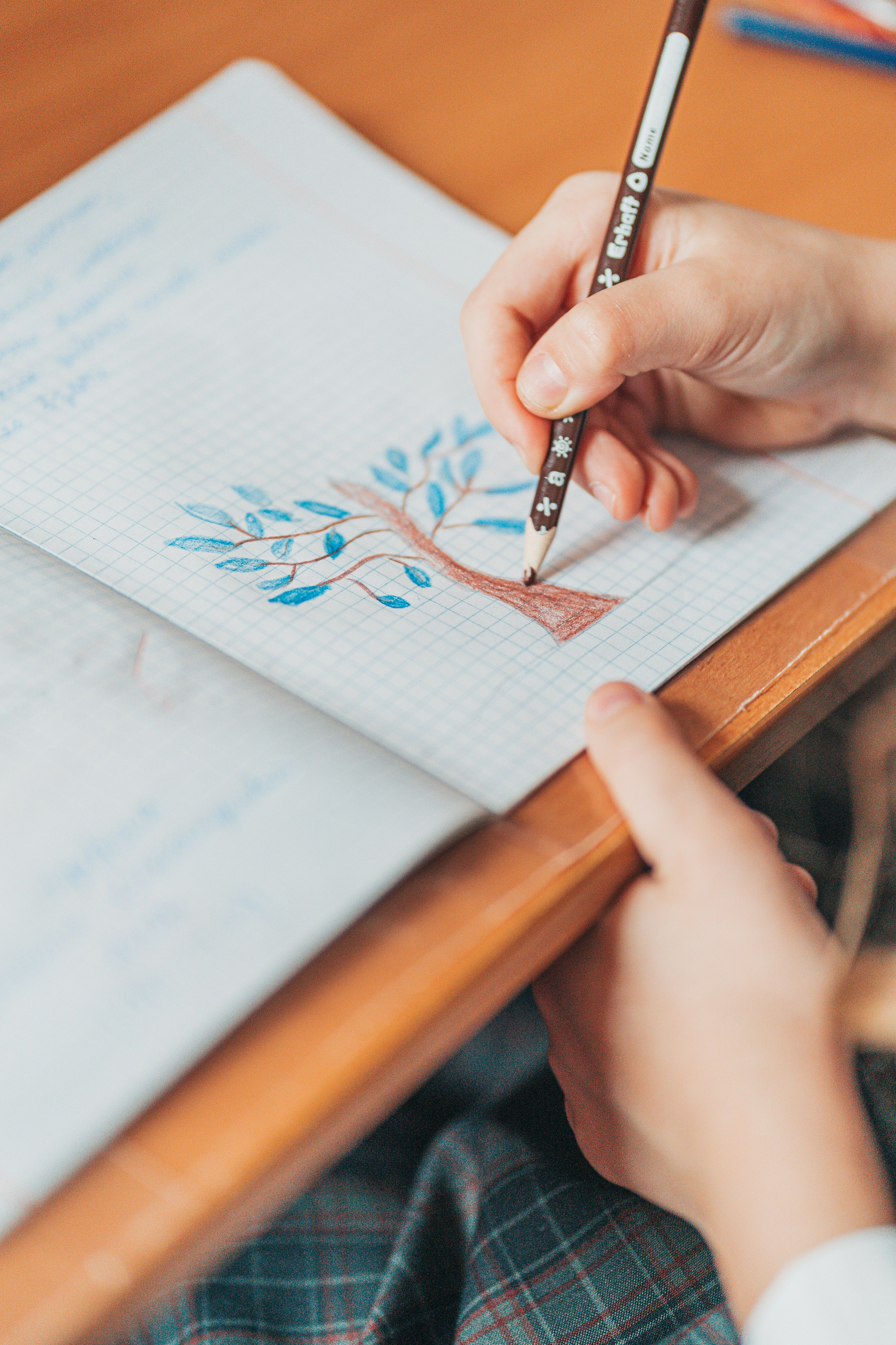 2 класс. Школьные альбомы и альбомы для детского сада. Юлия Осипова. Москва