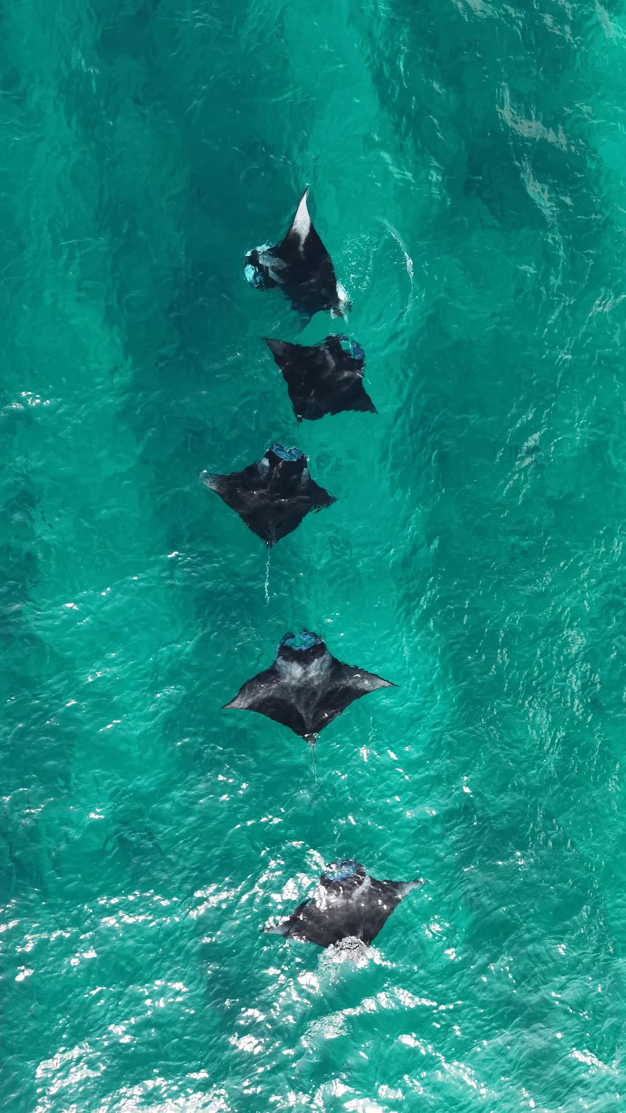 Stories from ALGA’s Maldives Tours
