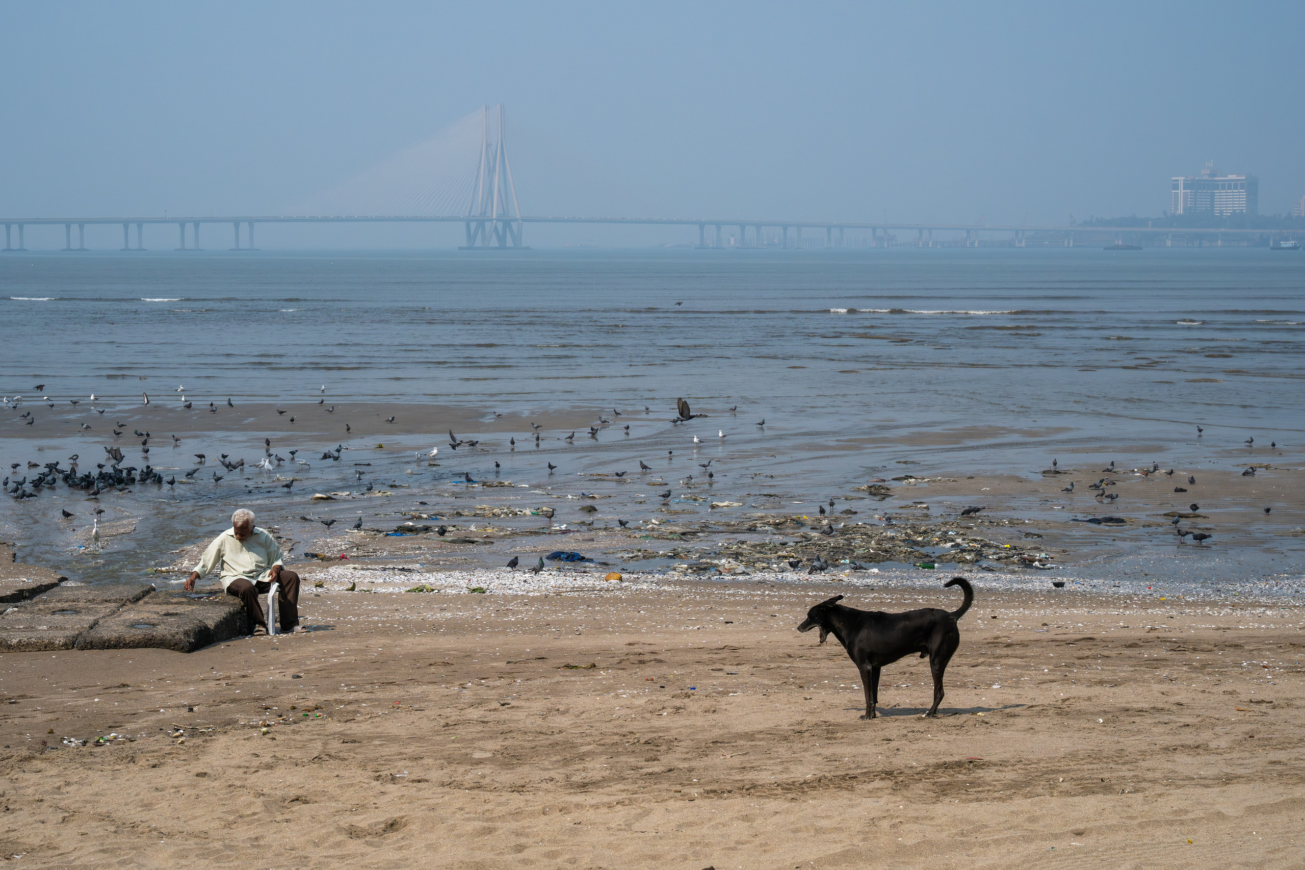 India 2024-2025. Dimitri Bakhtadze photographer