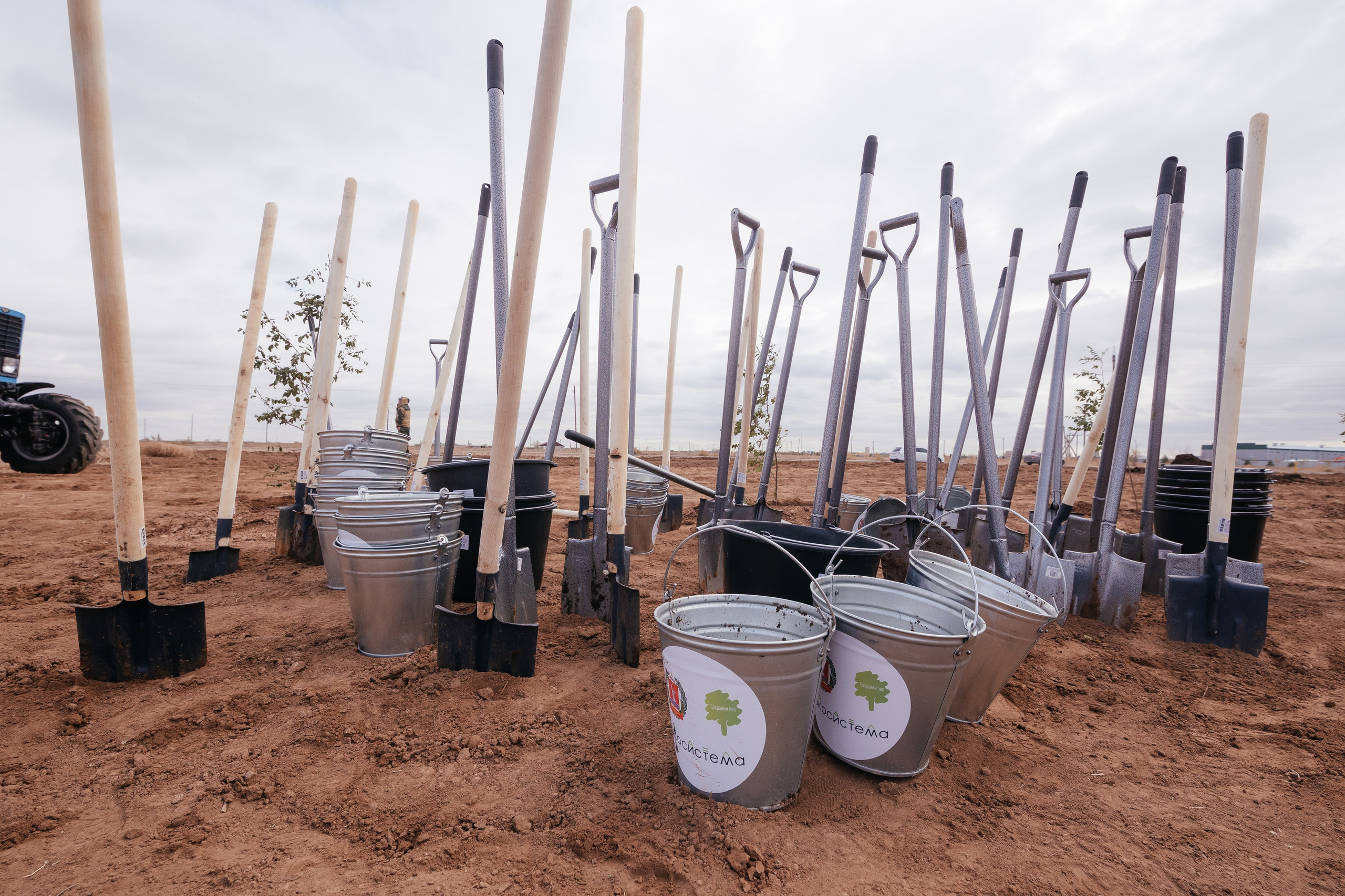 Сохраним лес. Фотограф Крохин Олег