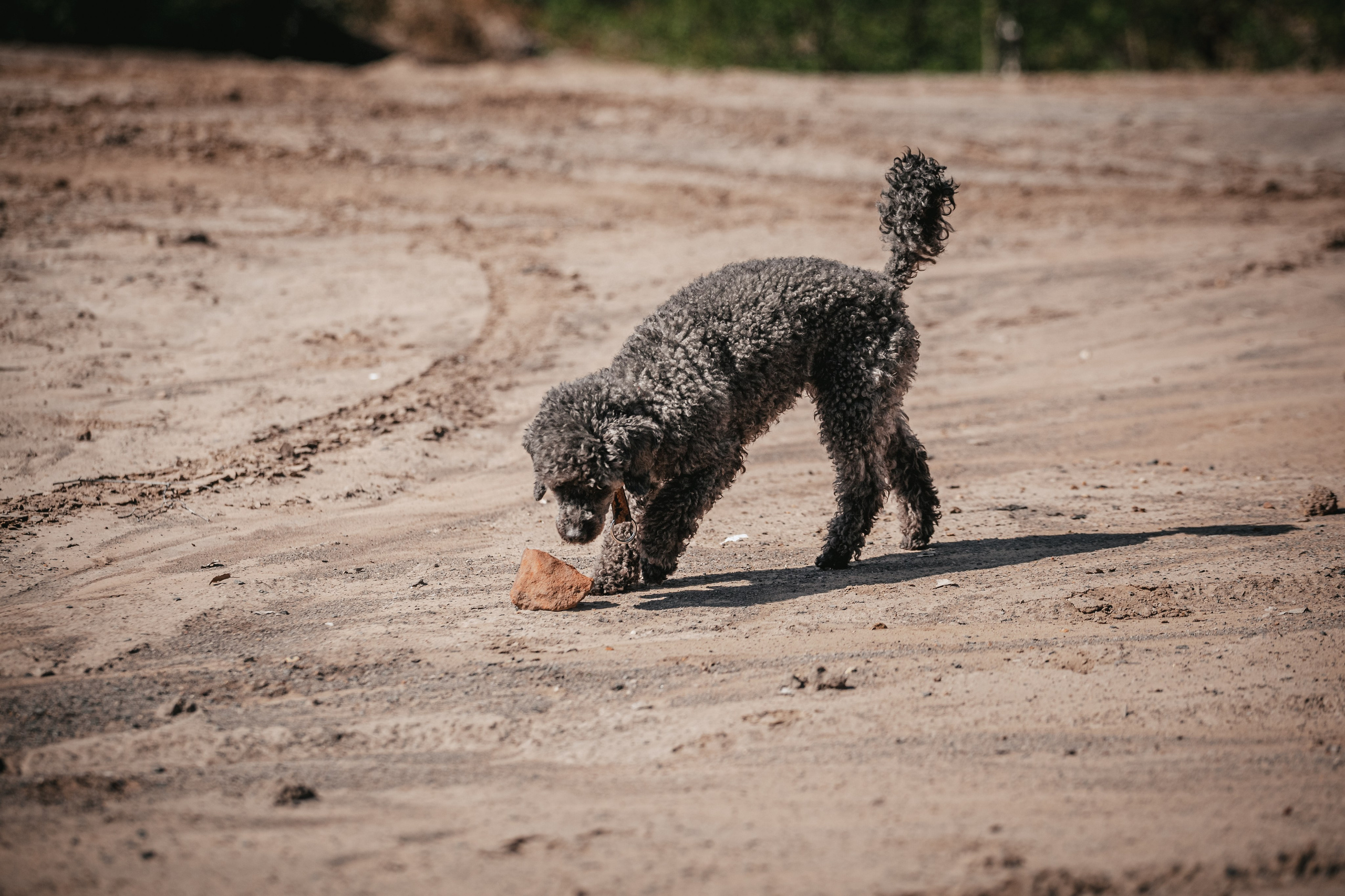 Кондуки. Фотограф-анималист Татьяна Степанова
