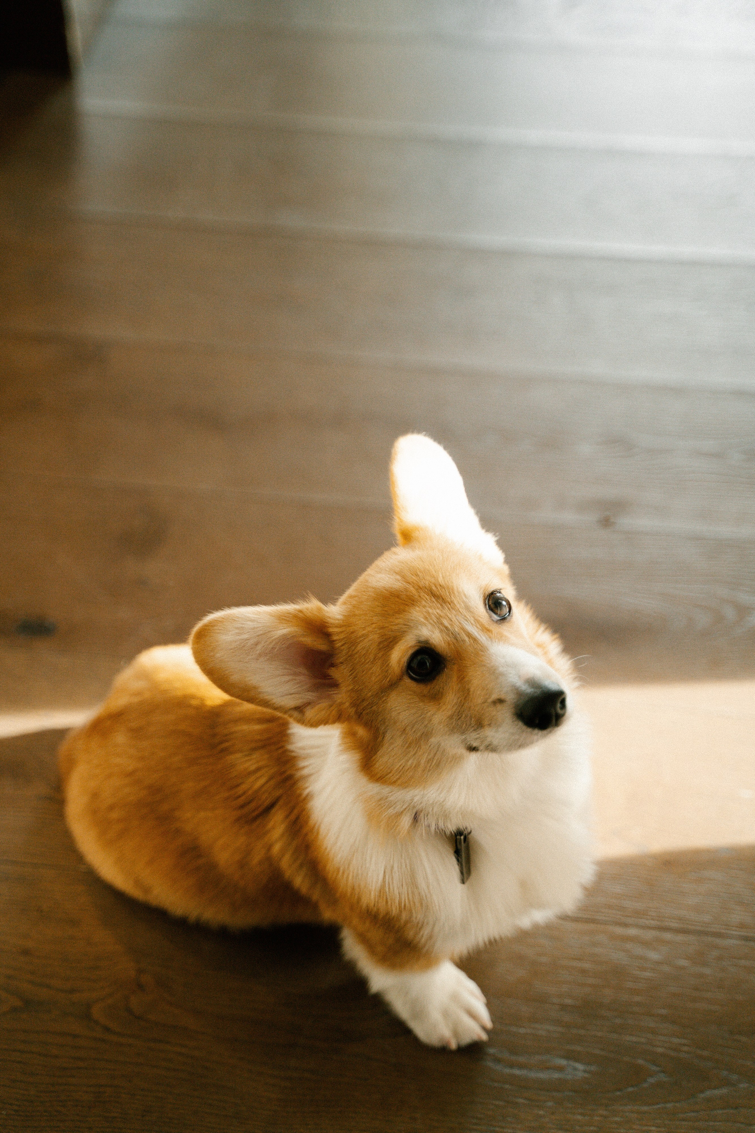 Вегас. Главная