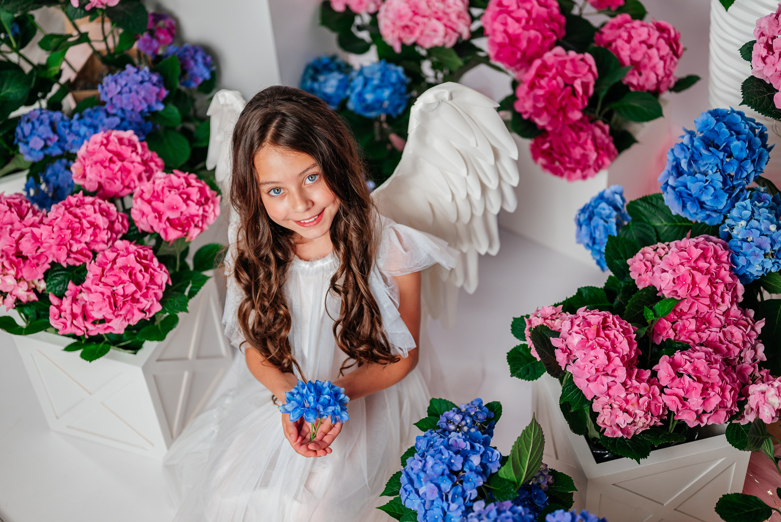 Вероника и гортензии. Семейный фотограф в Краснодаре