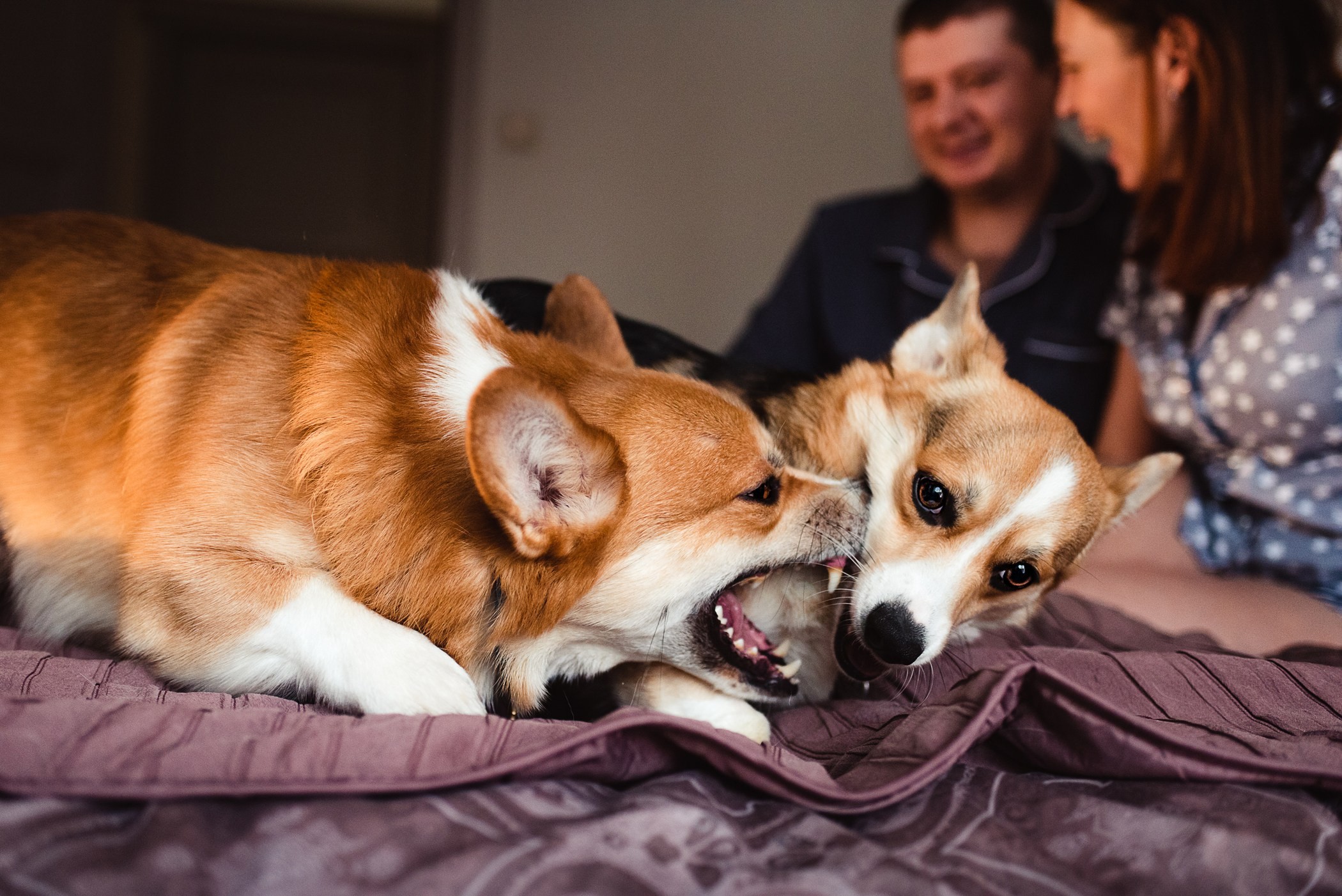 Пижамная вечеринка Тани и Димы. Семейный Фотограф в Москве Ирина Хохлова