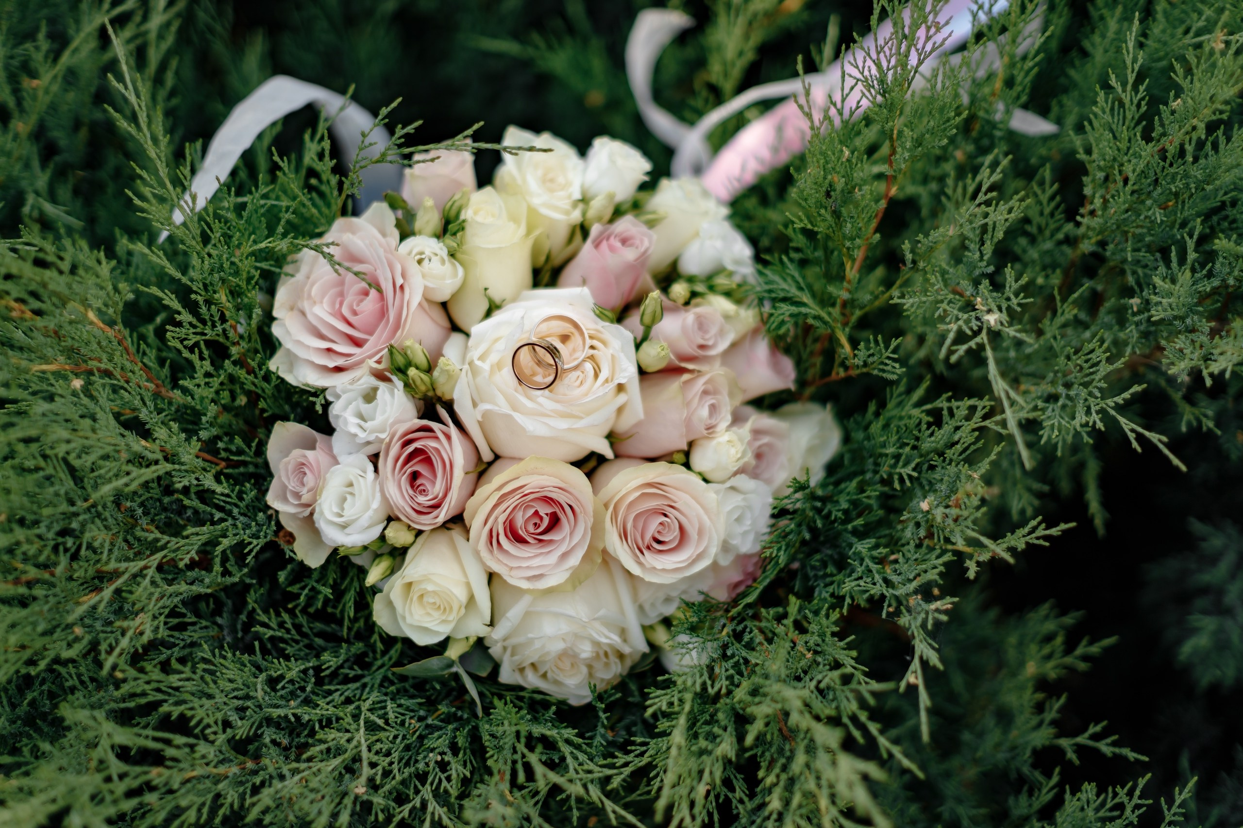 Свадьба Эдуарда и Елены (и смешно и трогательно и мило). Свадебный и семейный фотограф во Владимире Стелла Шуваева
