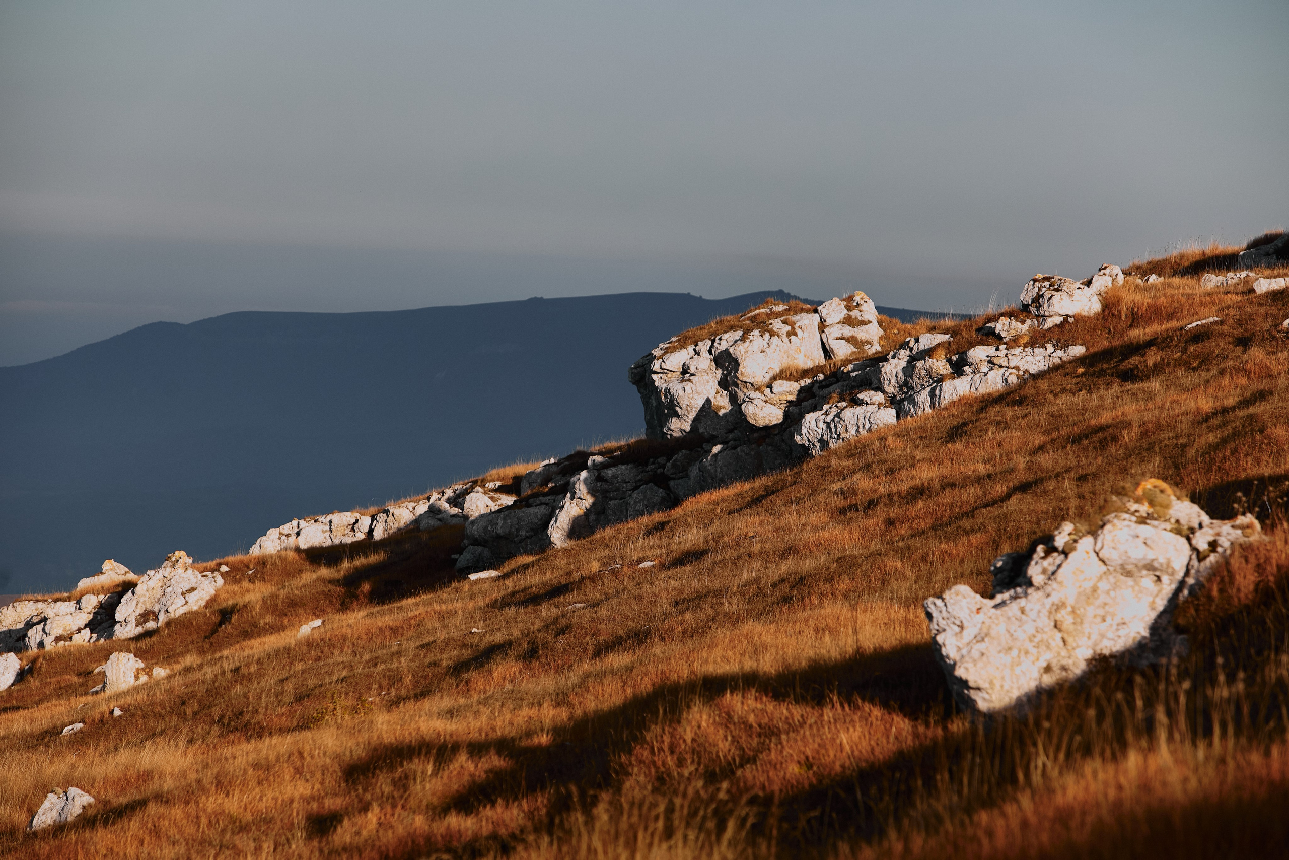 Лха 2500. Фотограф Продюсер в горах КБР / Москва  Нальчик Горы
