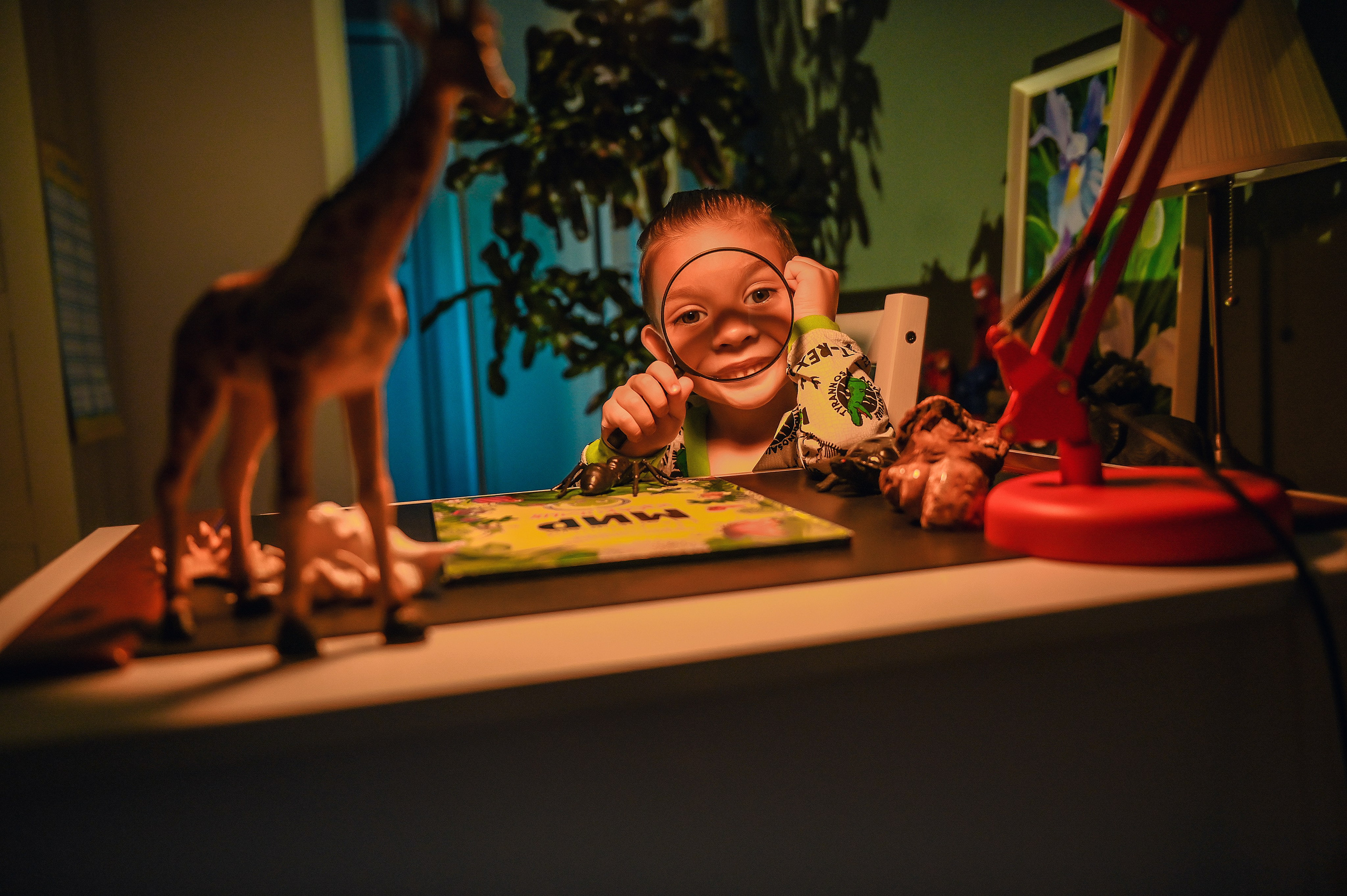 Детская домашняя кабинет натуралиста. Свадебный, семейный, детский, контент фотограф в Омске Максим Ильин