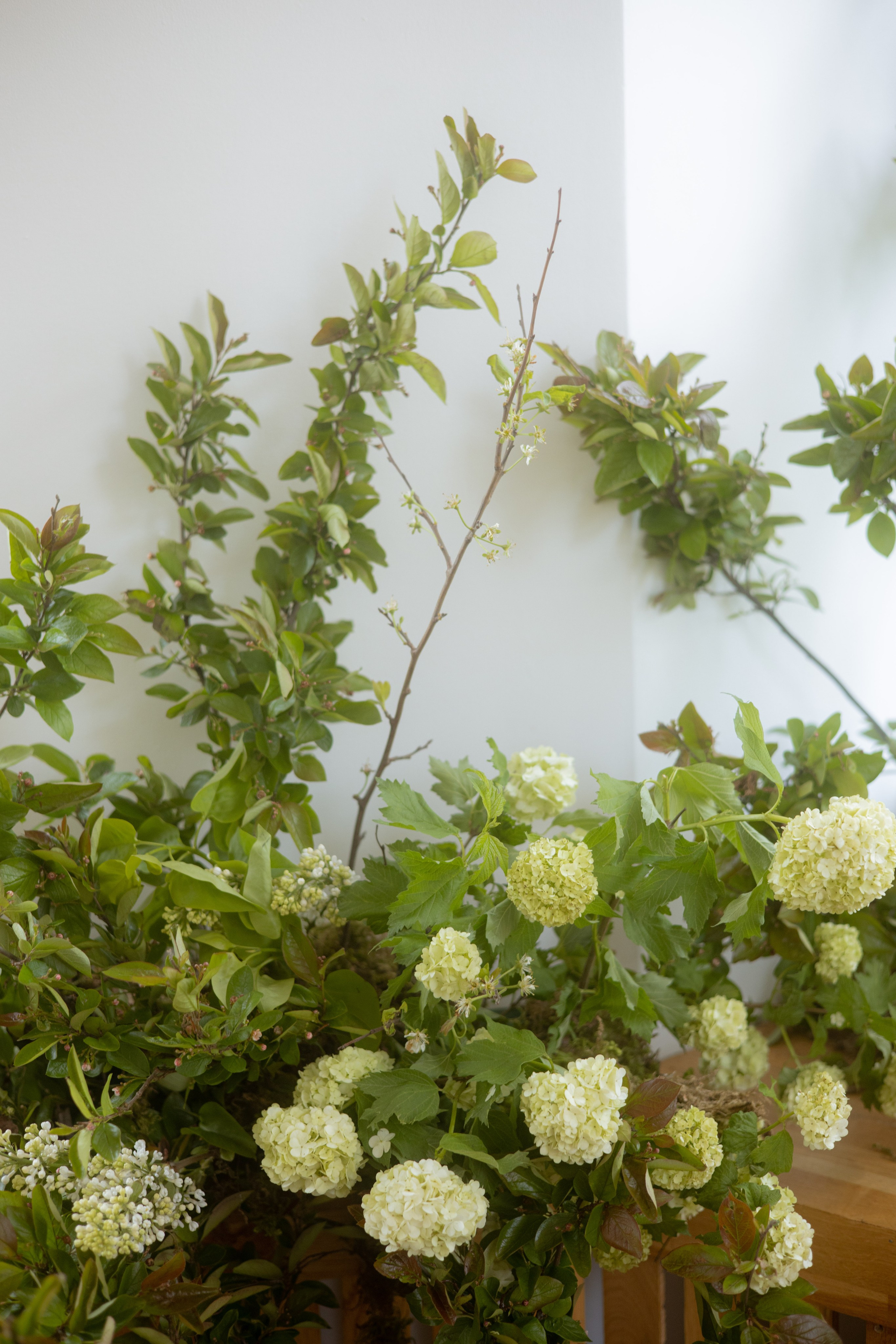 Утро Есении. Оформление свадеб, декор свадеб Вера Маркова, Москва