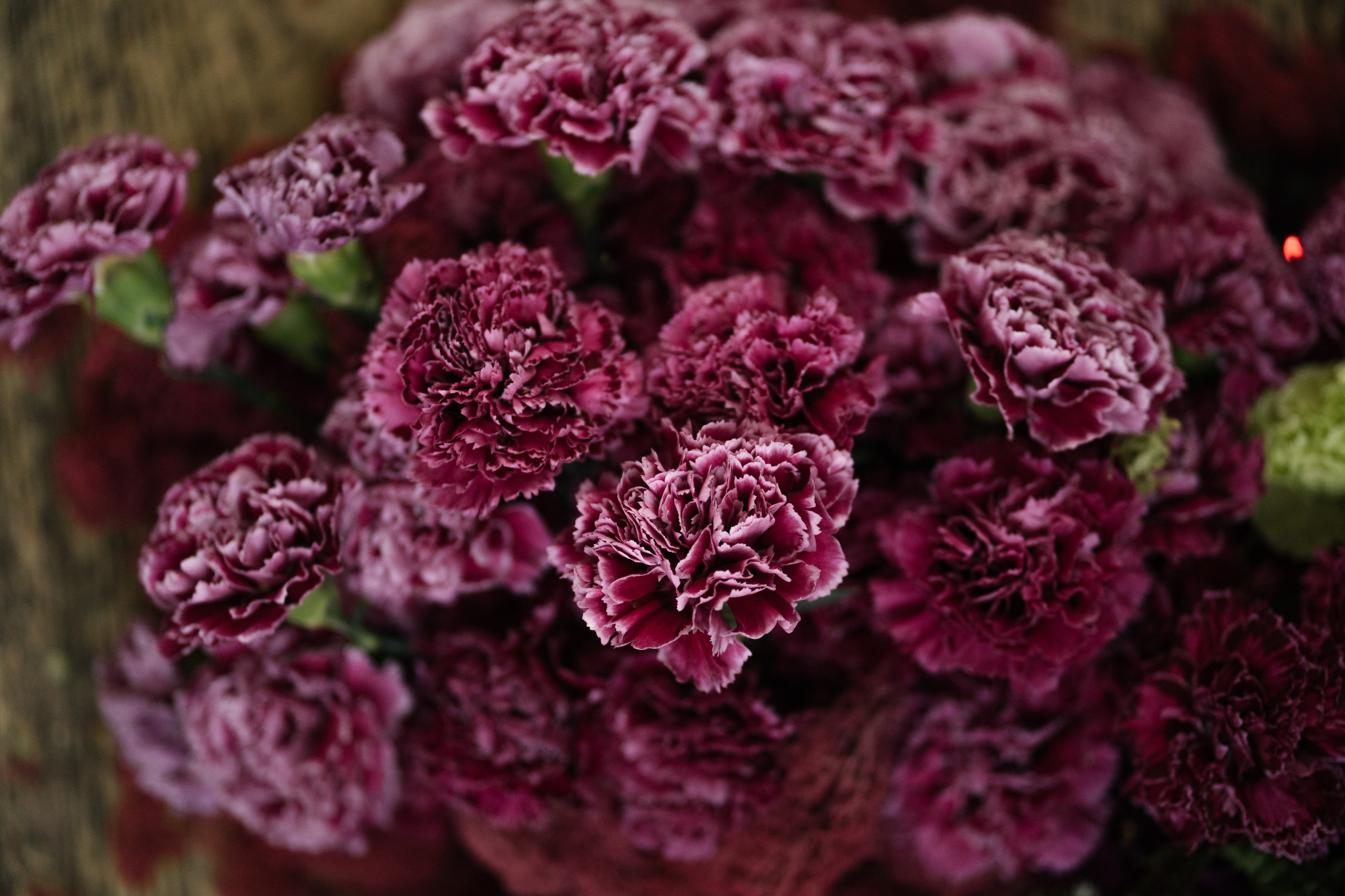 Дима & Алена. Оформление свадеб, декор свадеб Вера Маркова, Москва