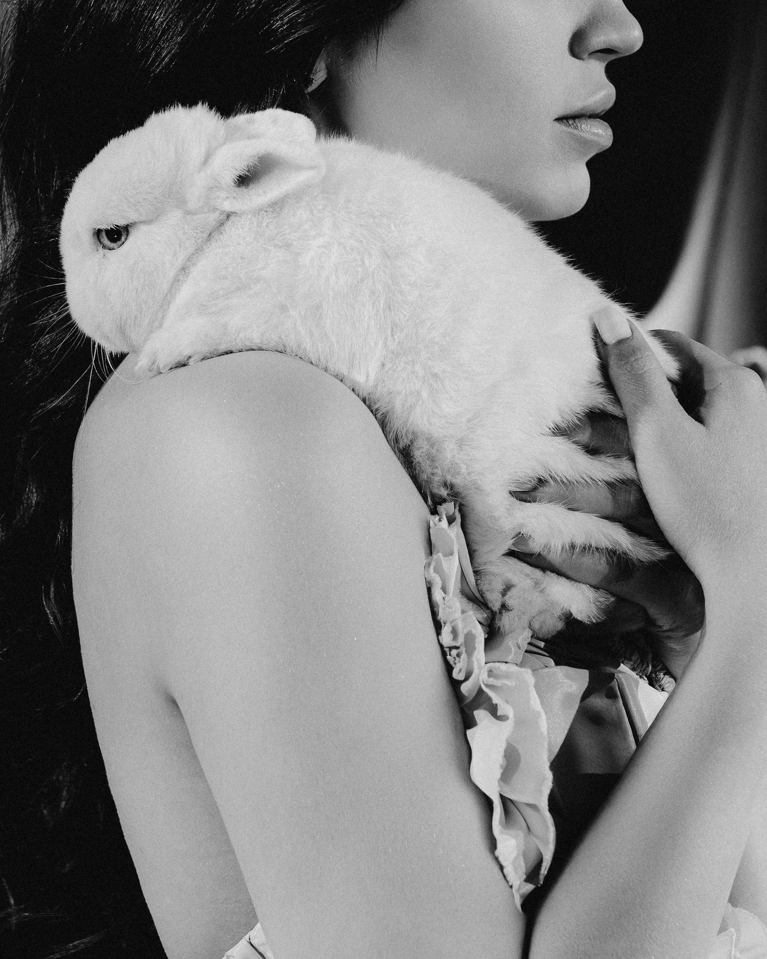 Сергей и Кристина. Свадебный и портретный фотограф в Москве Сергей Бузин