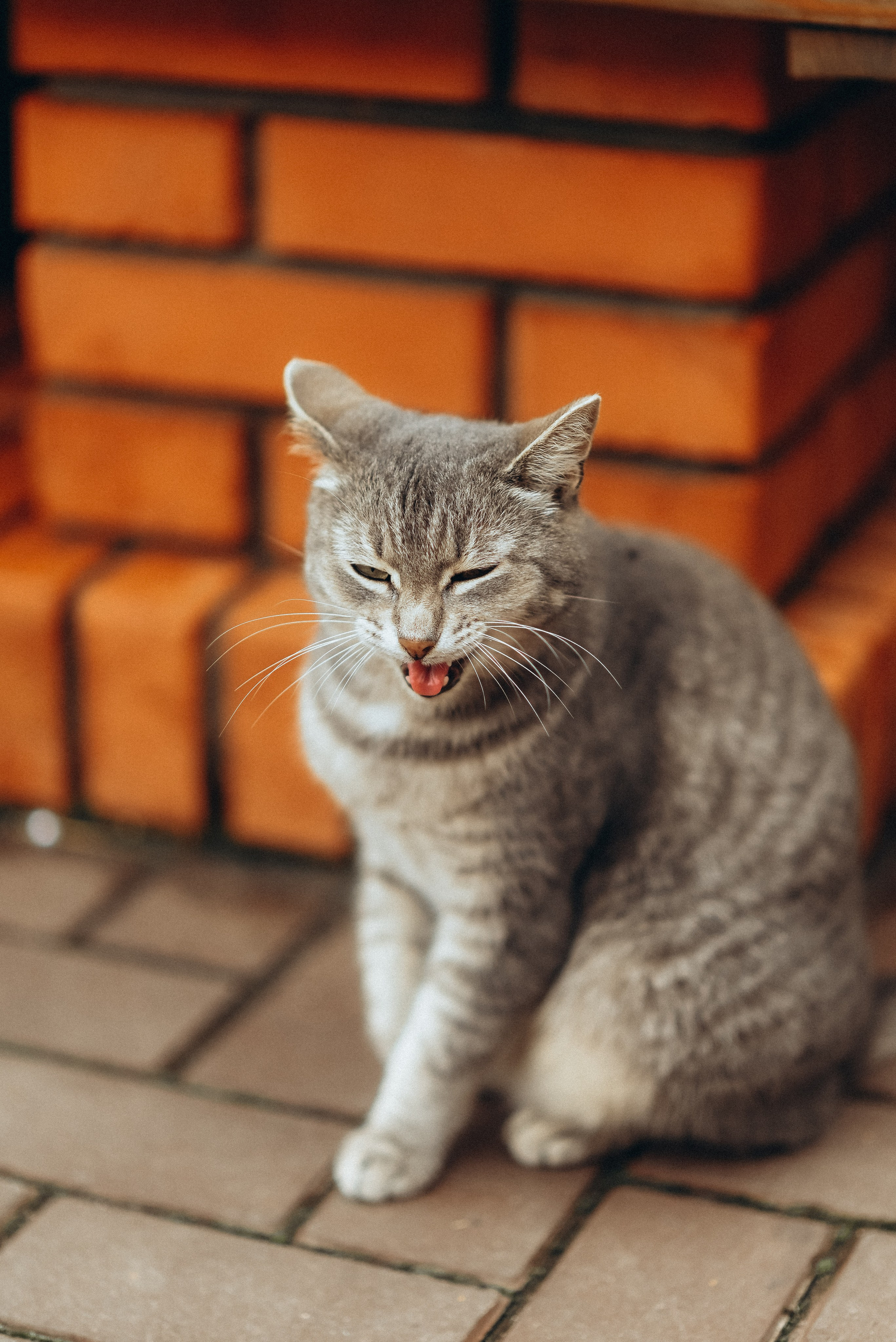 Гаянэ и Роман. Свадебный фотограф Анастасия Бударина