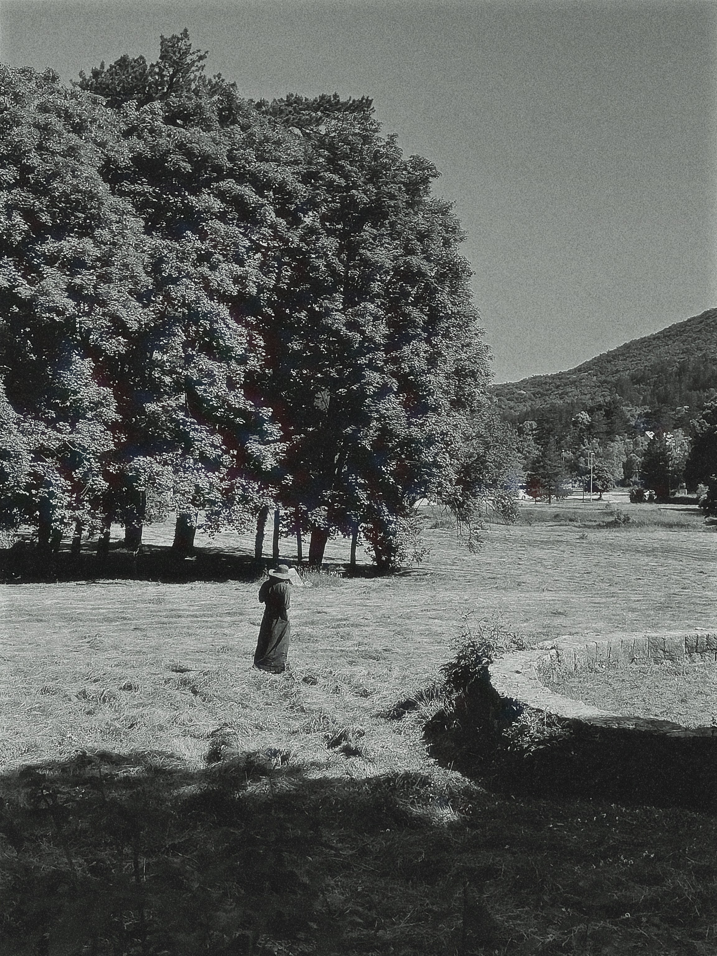 Street/travel. Sveti Sveta • визуальный артист Светлана Дубских