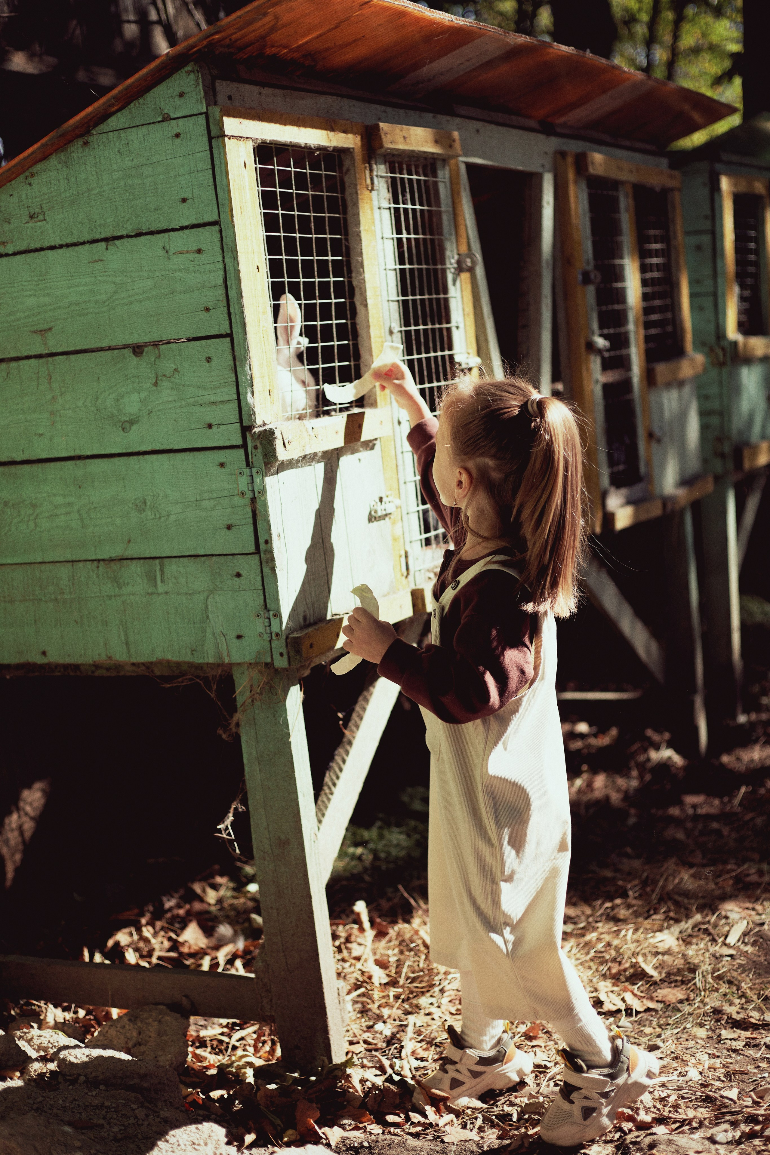 Зоопарк. Фотограф Ионова Анастасия, г Владивосток