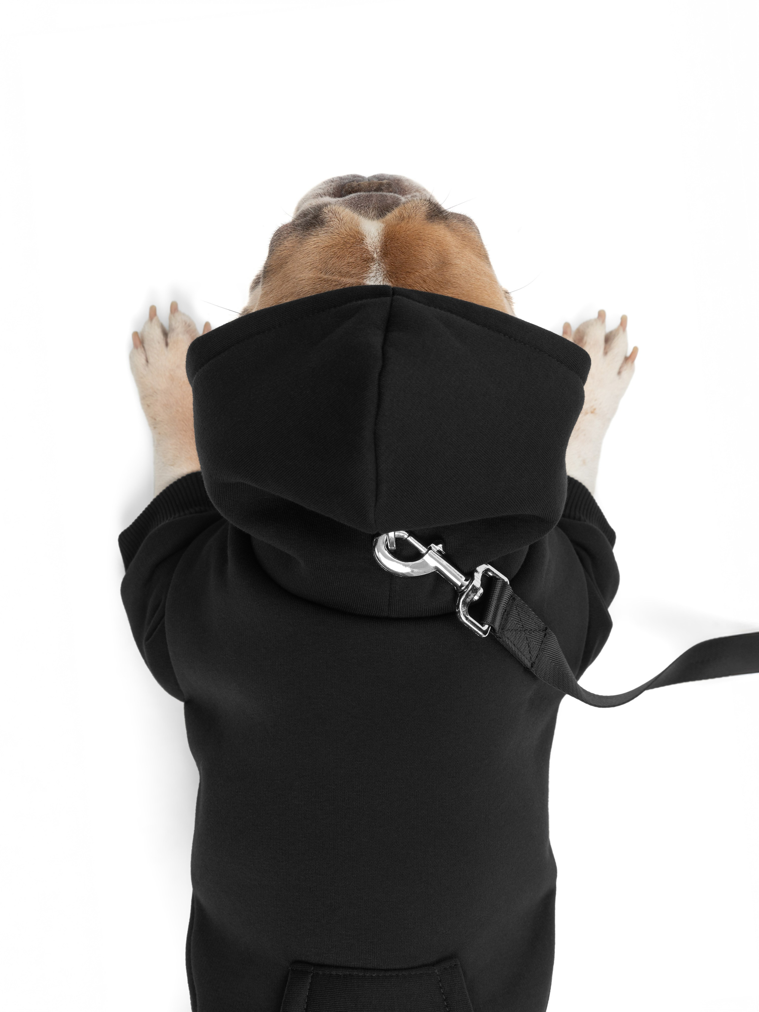 Одежда для собак Pet Subject. Олег Дмитриев