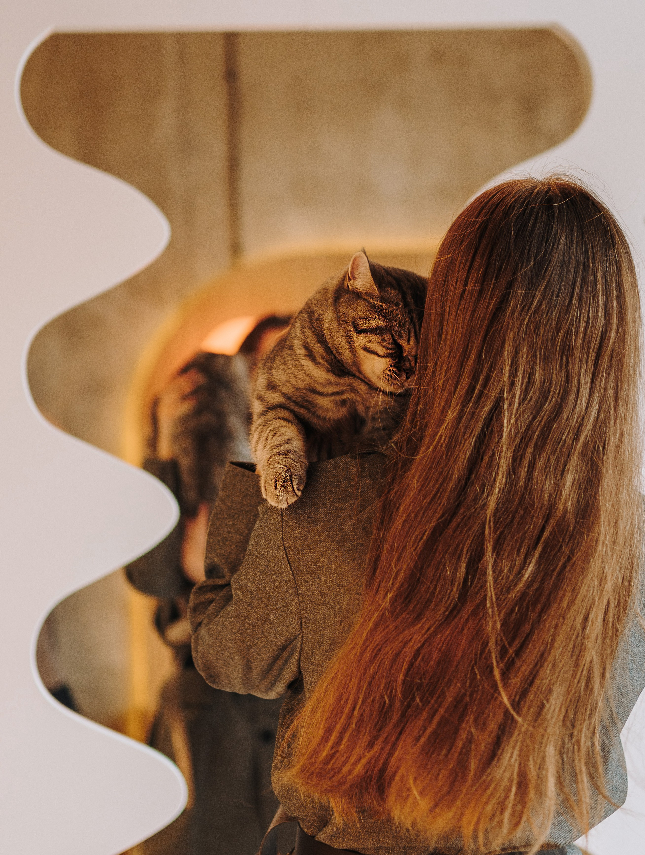 Портфолио кошки, фотограф Олеся Майрова. Фотограф анималист в Спб недорого Олеся Майорова