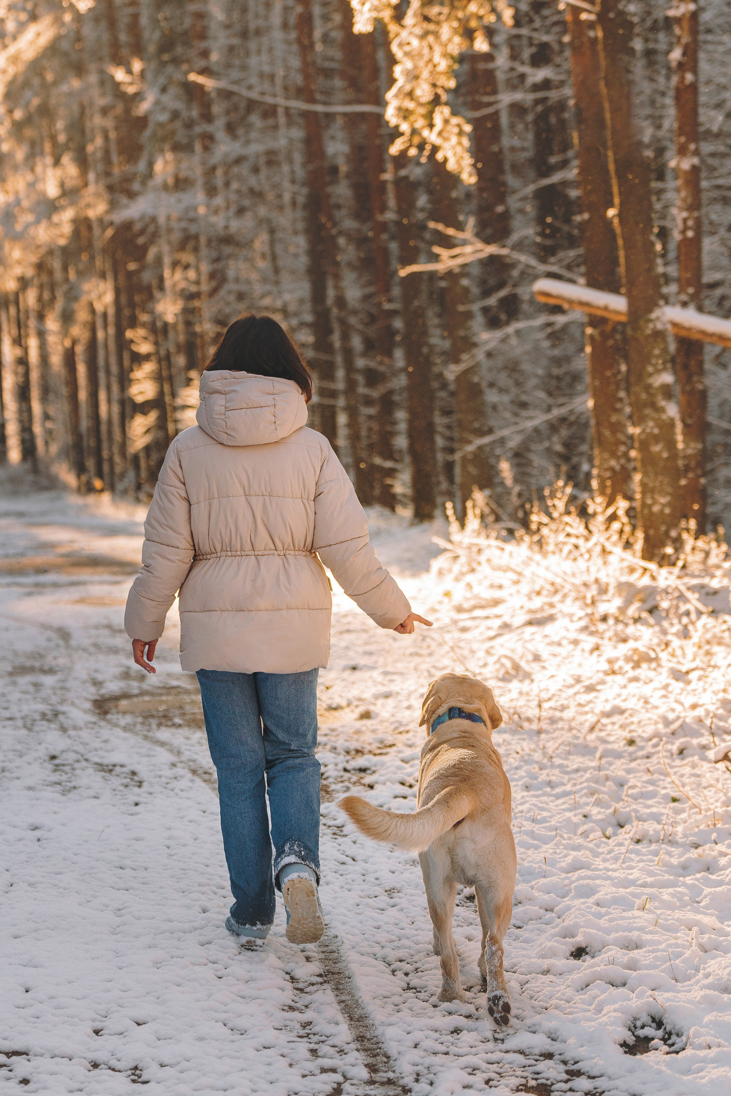 Аня и Честер. Фотограф анималист в Спб недорого Олеся Майорова