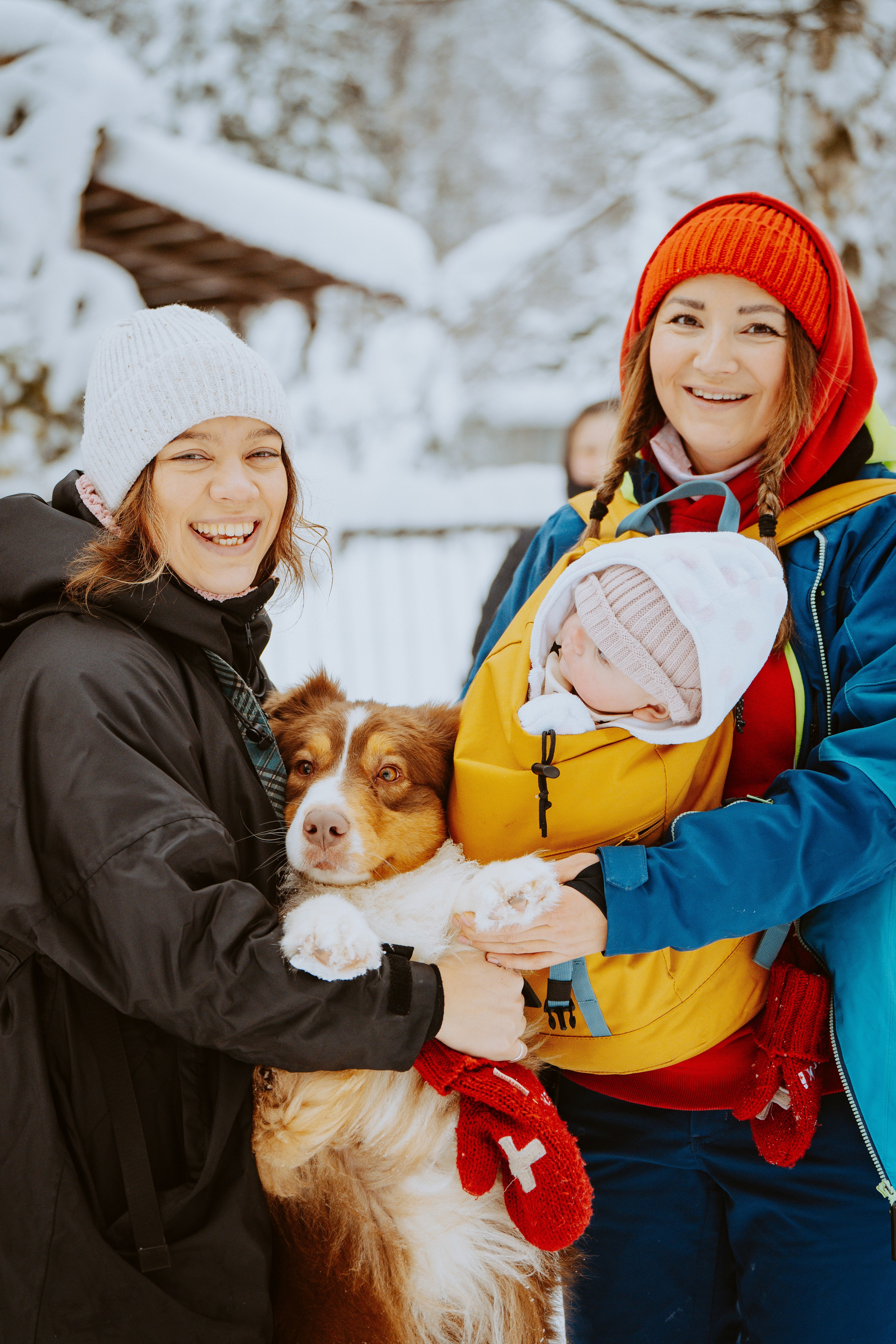 Дог трекинг. Фотограф анималист в Спб недорого Олеся Майорова