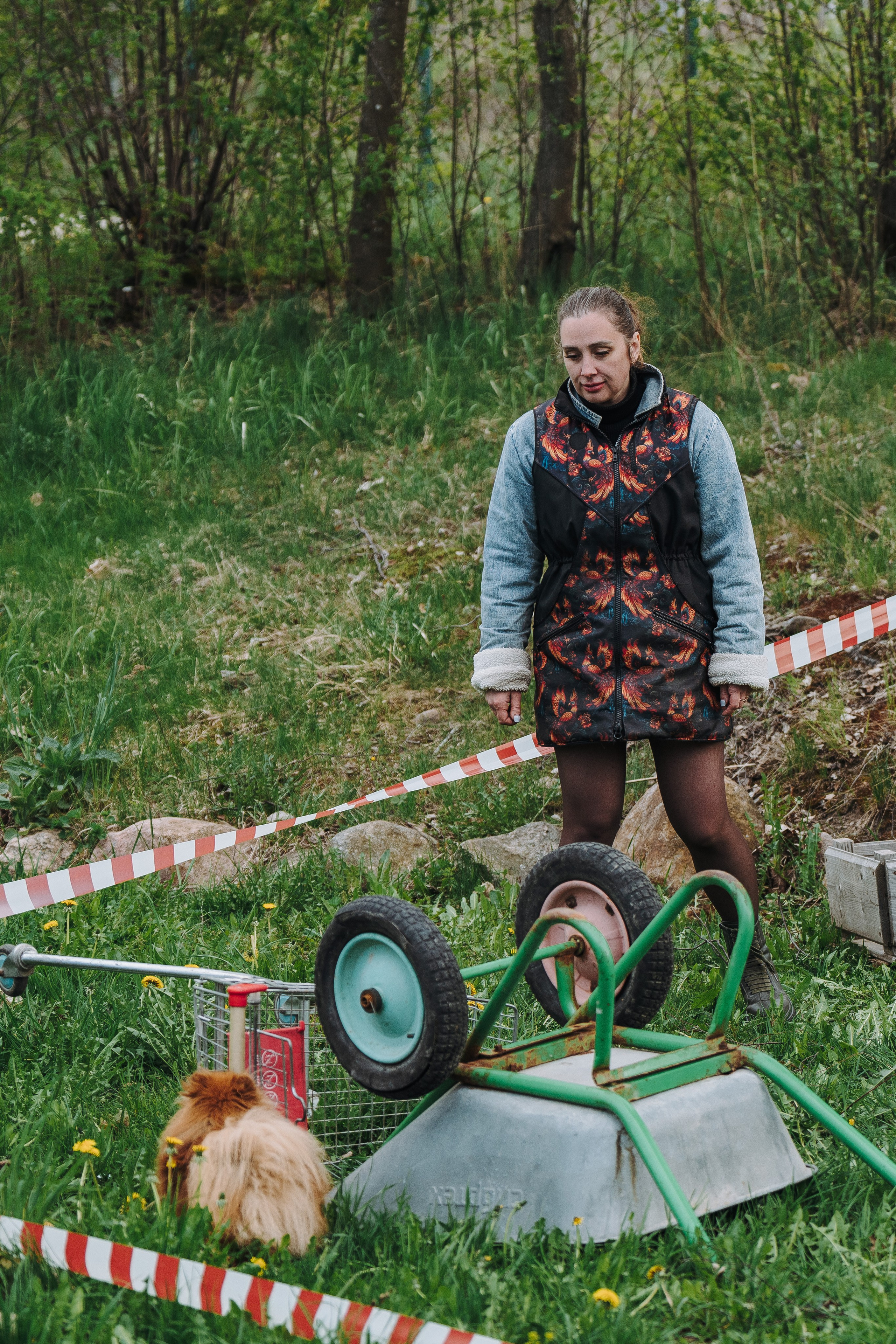 Соревнования по ноузворку в Лосево. Фотограф анималист в Спб недорого Олеся Майорова