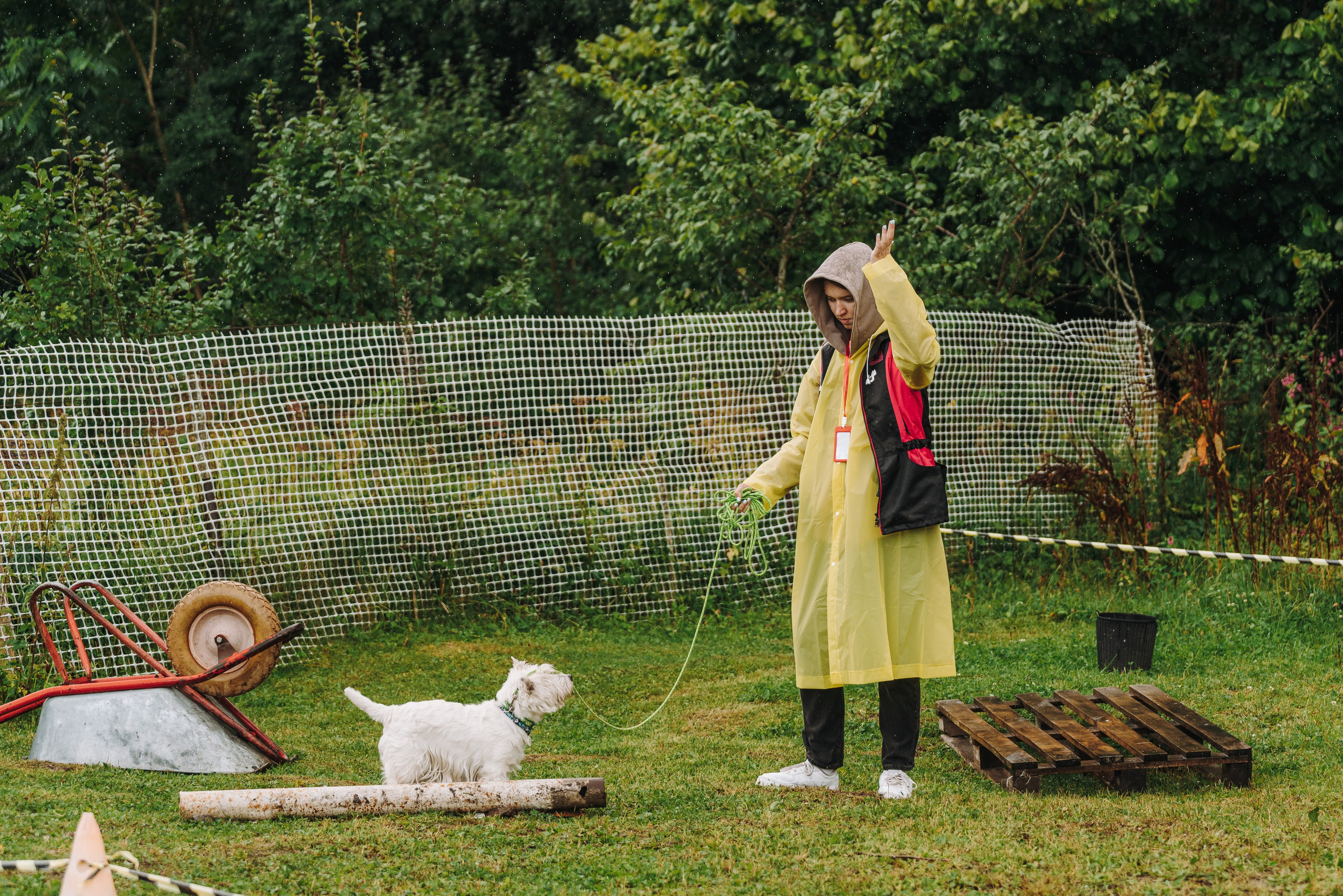 Соревнования по ноузворку в Новожилово. Фотограф анималист в Спб недорого Олеся Майорова