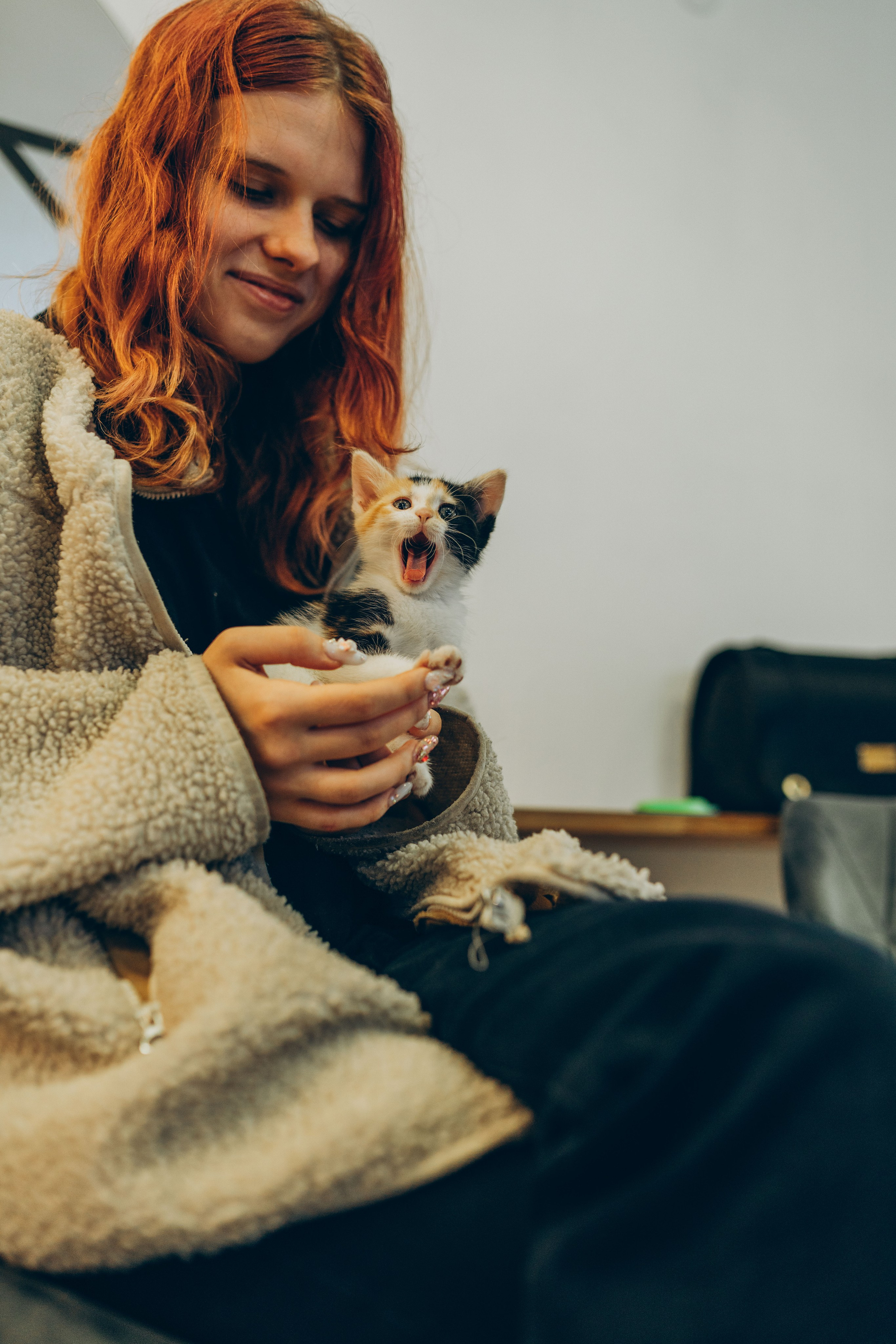 Соник. Фотограф анималист в Спб недорого Олеся Майорова