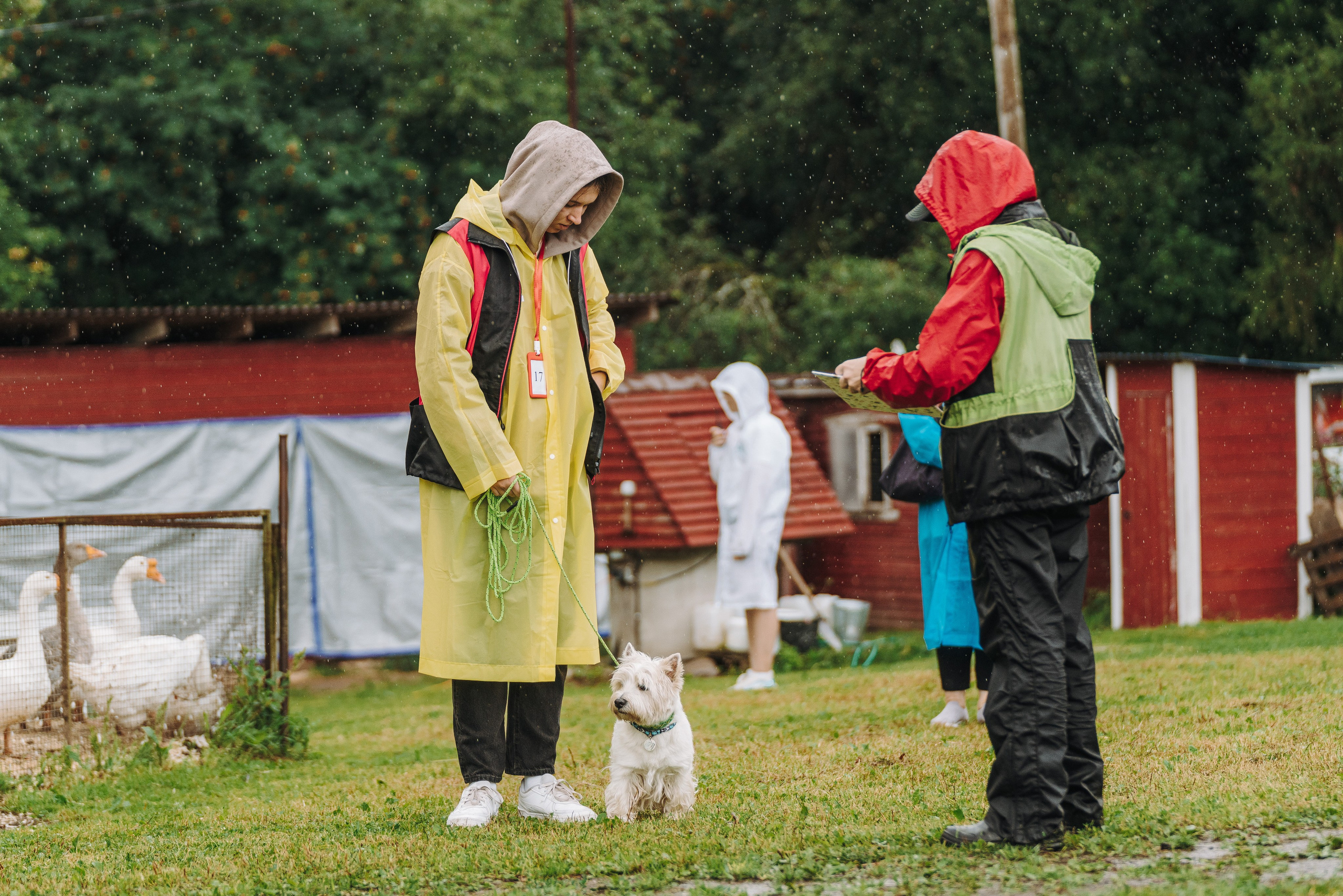 Соревнования по ноузворку в Новожилово. Фотограф анималист в Спб недорого Олеся Майорова