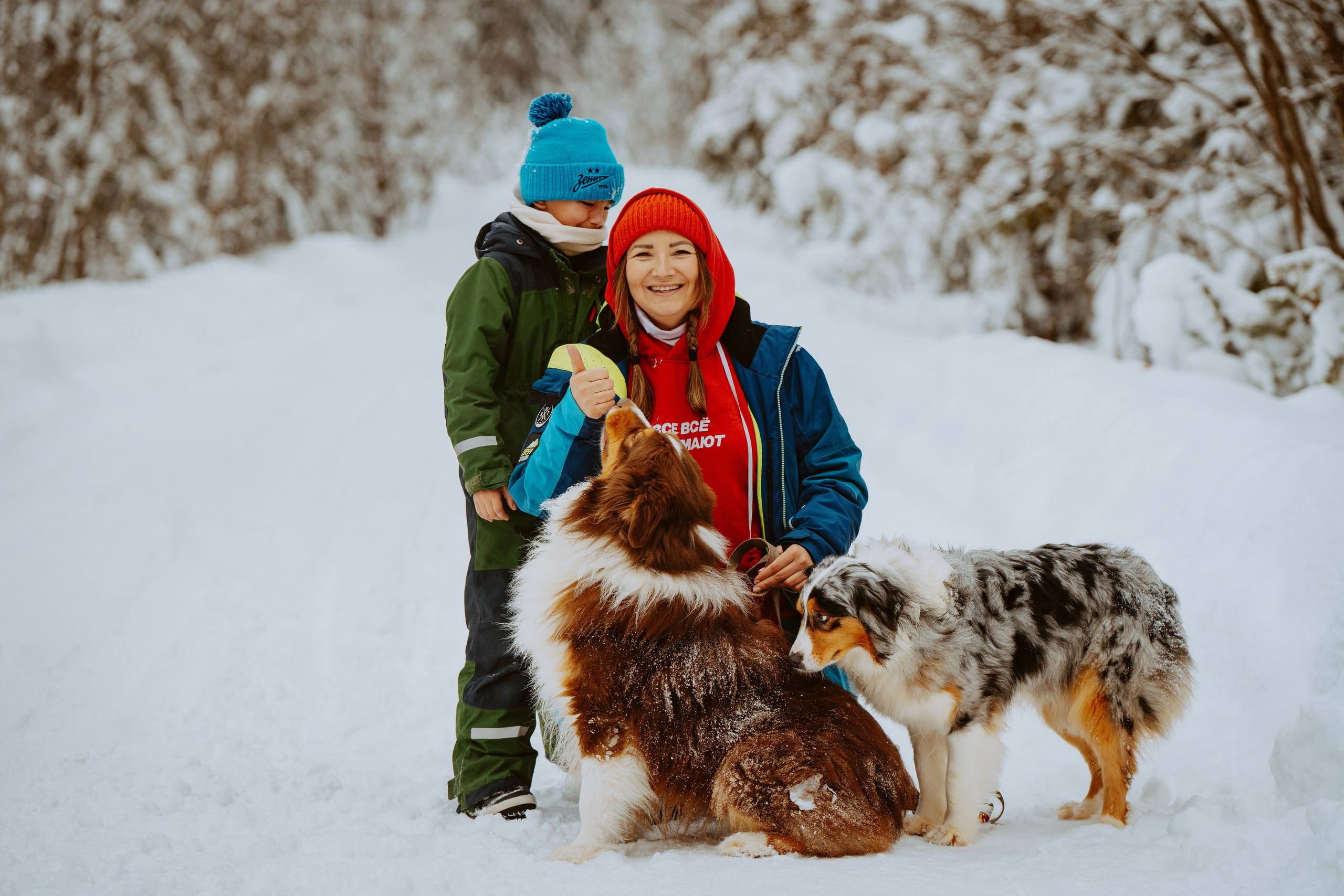 Дог трекинг. Фотограф анималист в Спб недорого Олеся Майорова