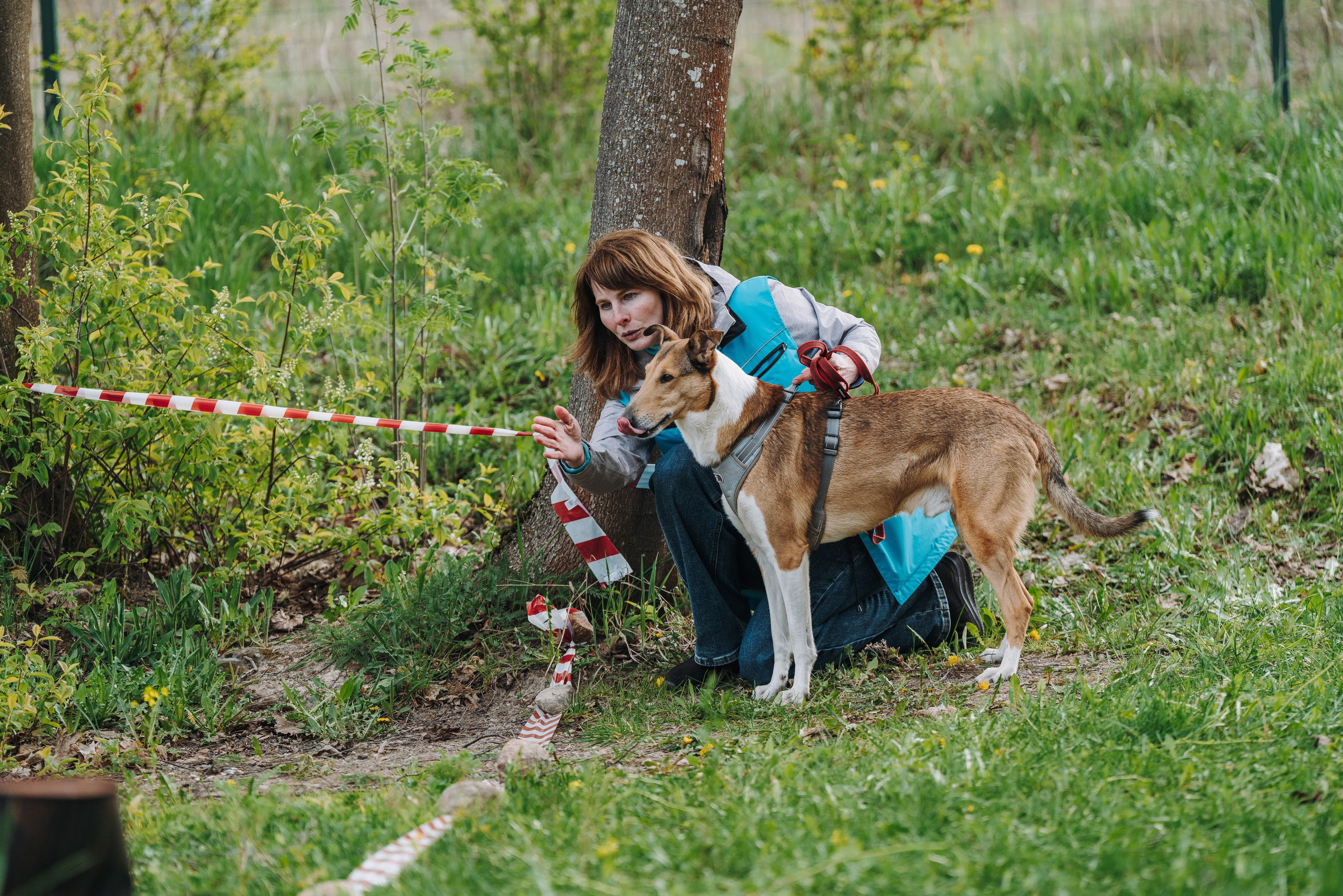 Соревнования по ноузворку в Лосево. Фотограф анималист в Спб недорого Олеся Майорова