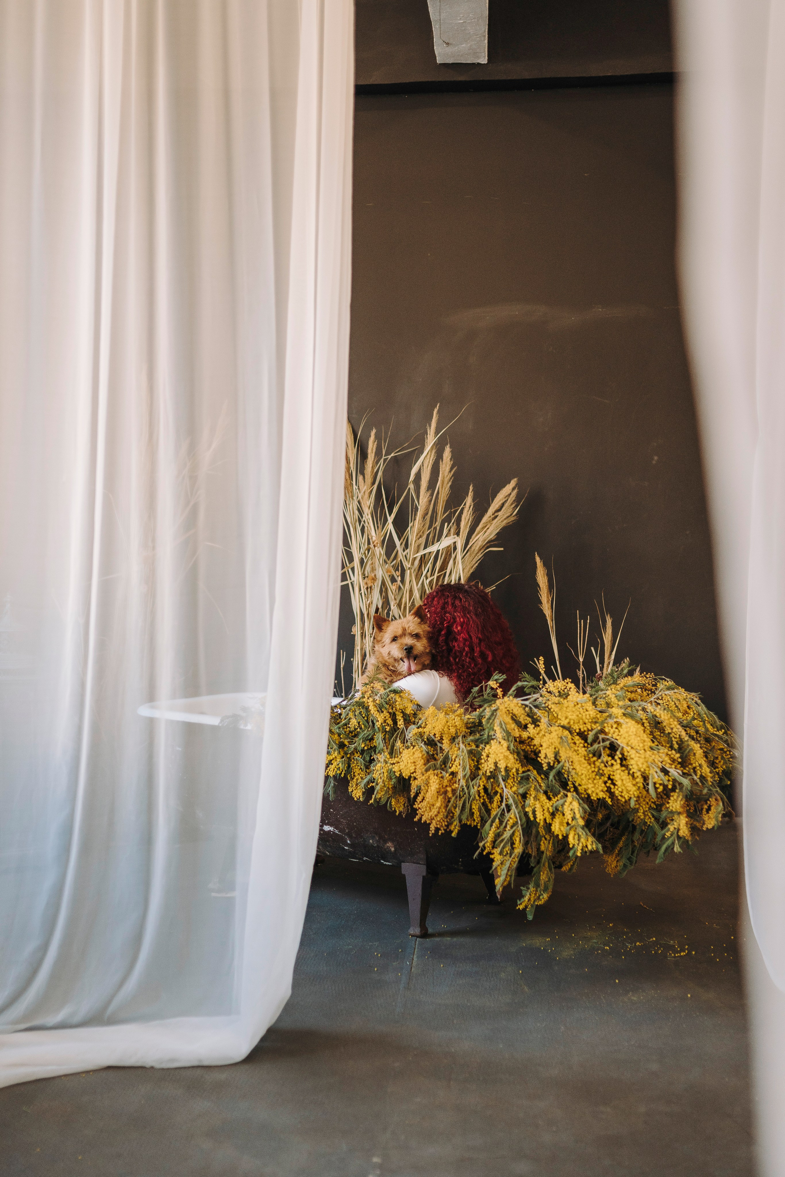 Маша и Рамси. Фотограф анималист в Спб недорого Олеся Майорова