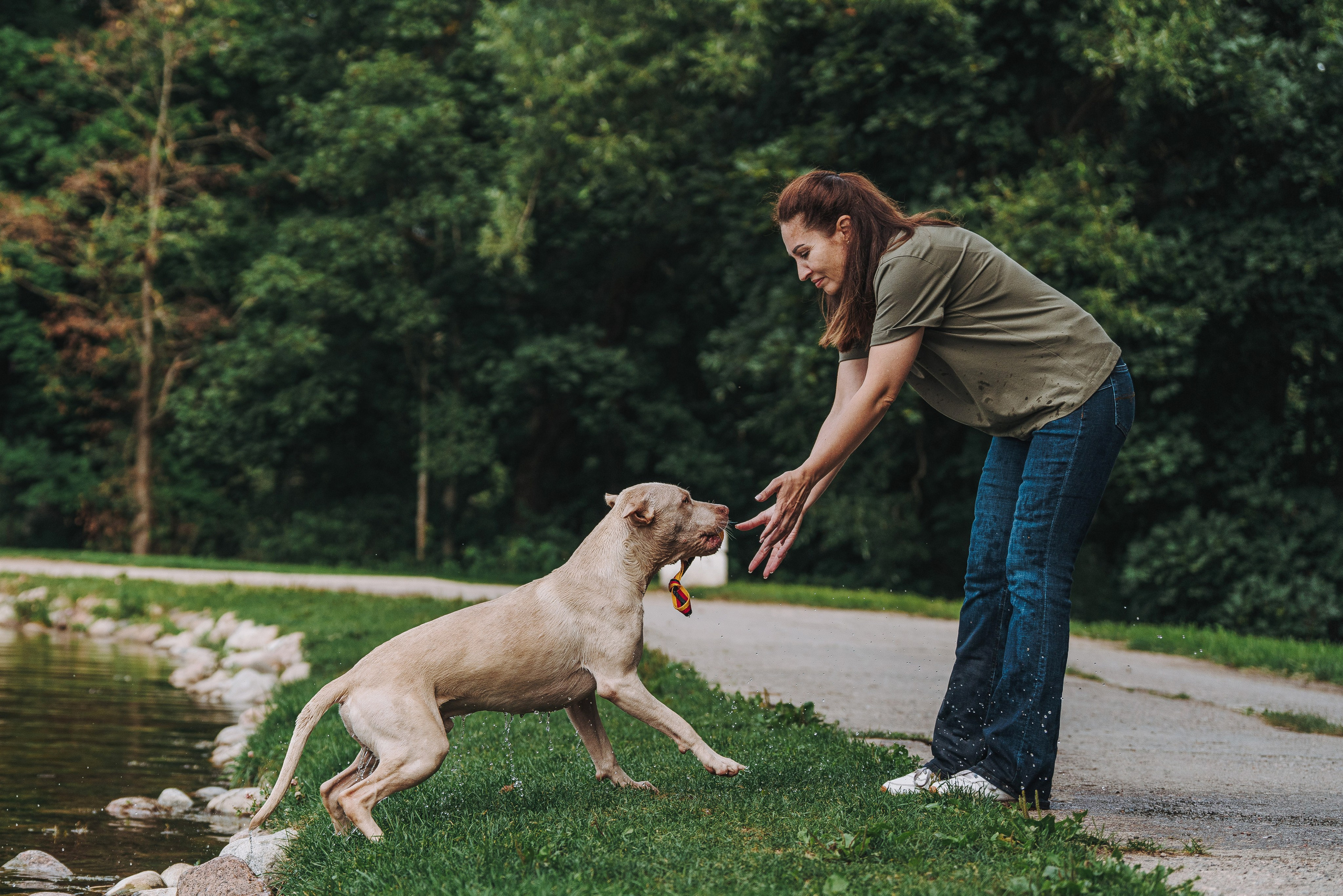 Оля и Гламур. Фотограф анималист в Спб недорого Олеся Майорова