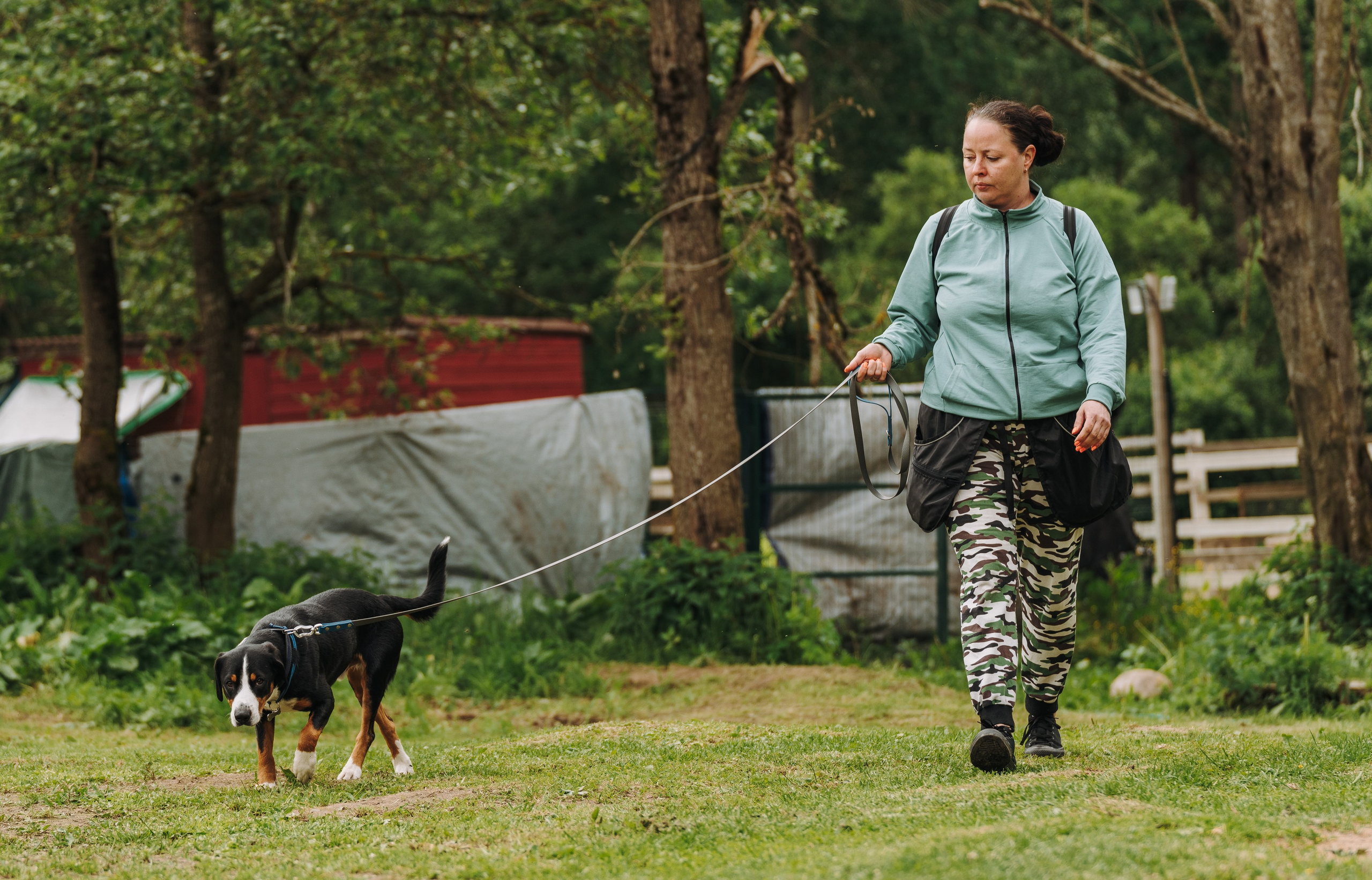 Соревнования по ноузворку. Фотограф анималист в Спб недорого Олеся Майорова