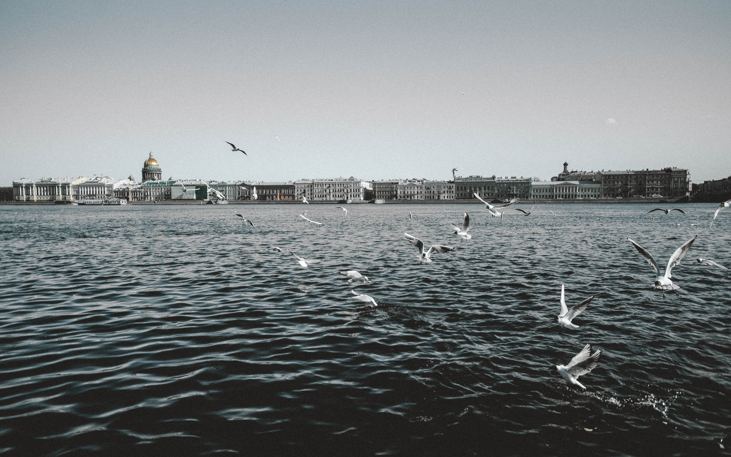 Автор: Мария Кокорина