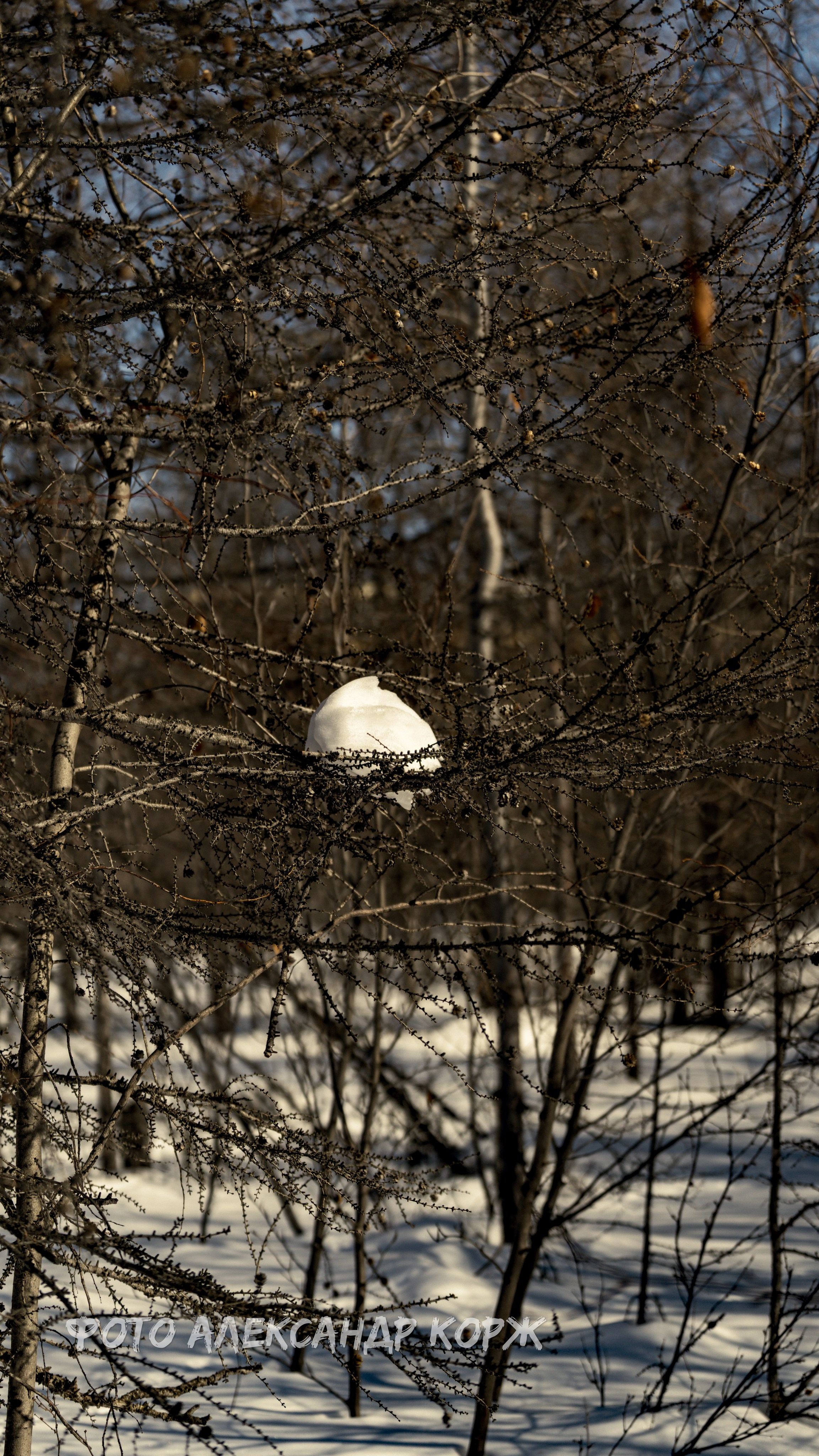 Северный поселок Айхал. Фотографии и видеосъемка, Айхал, Удачный, Якутия. Фотографии Айхал