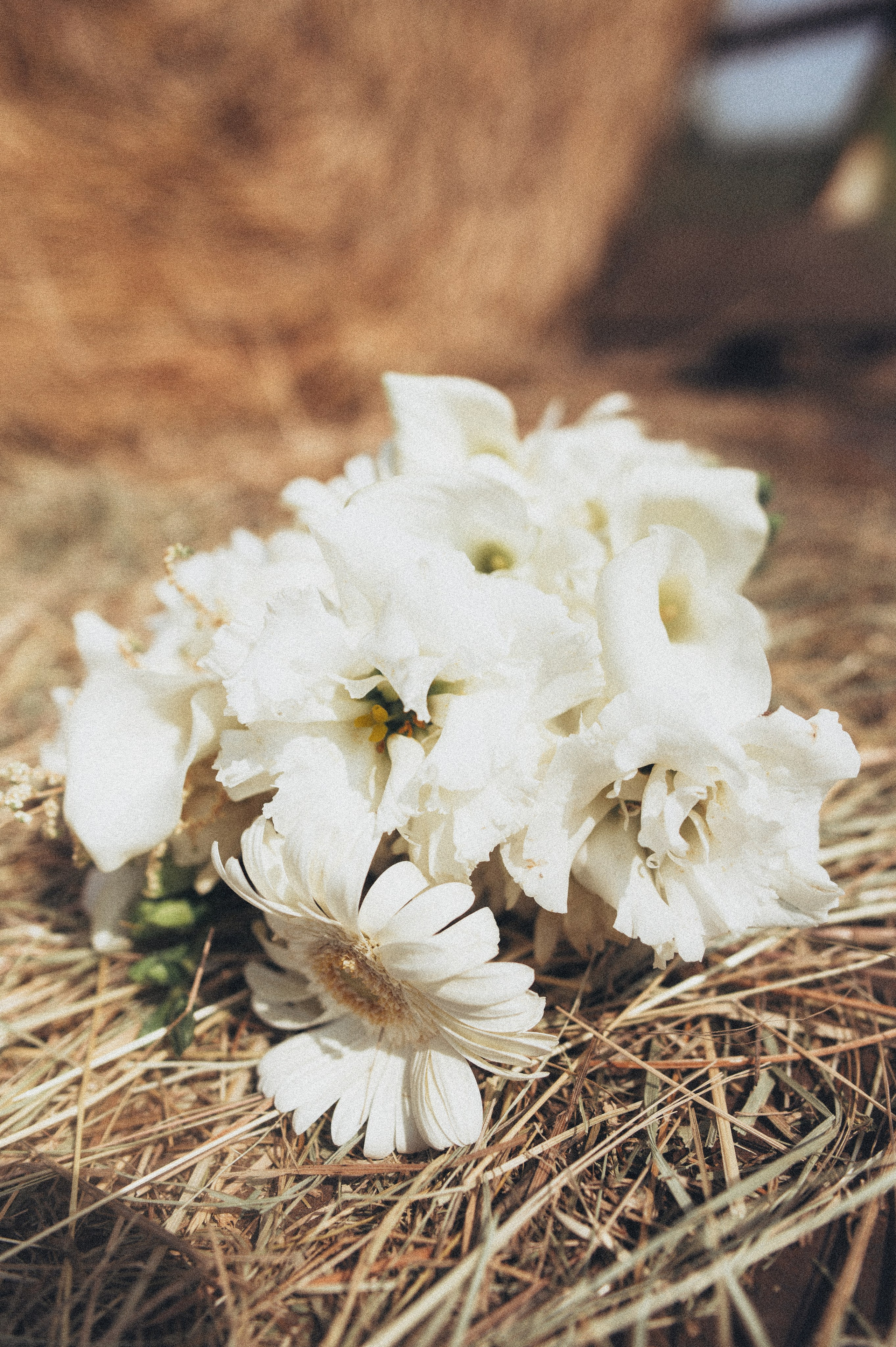 Анна и Максим. Фотограф в Саратове Анастасия Гладина