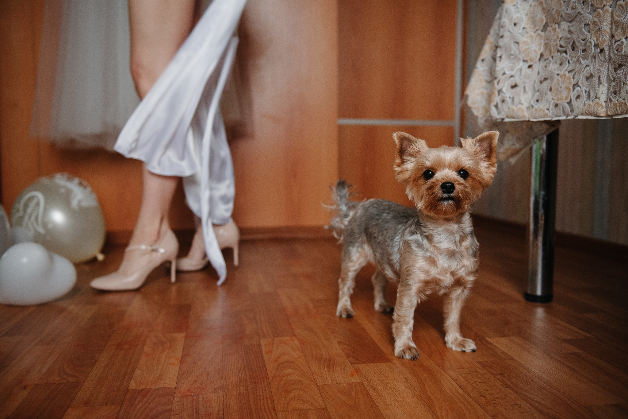 Сергей и Анна. Фотограф Валерия Голубева (Миронова)