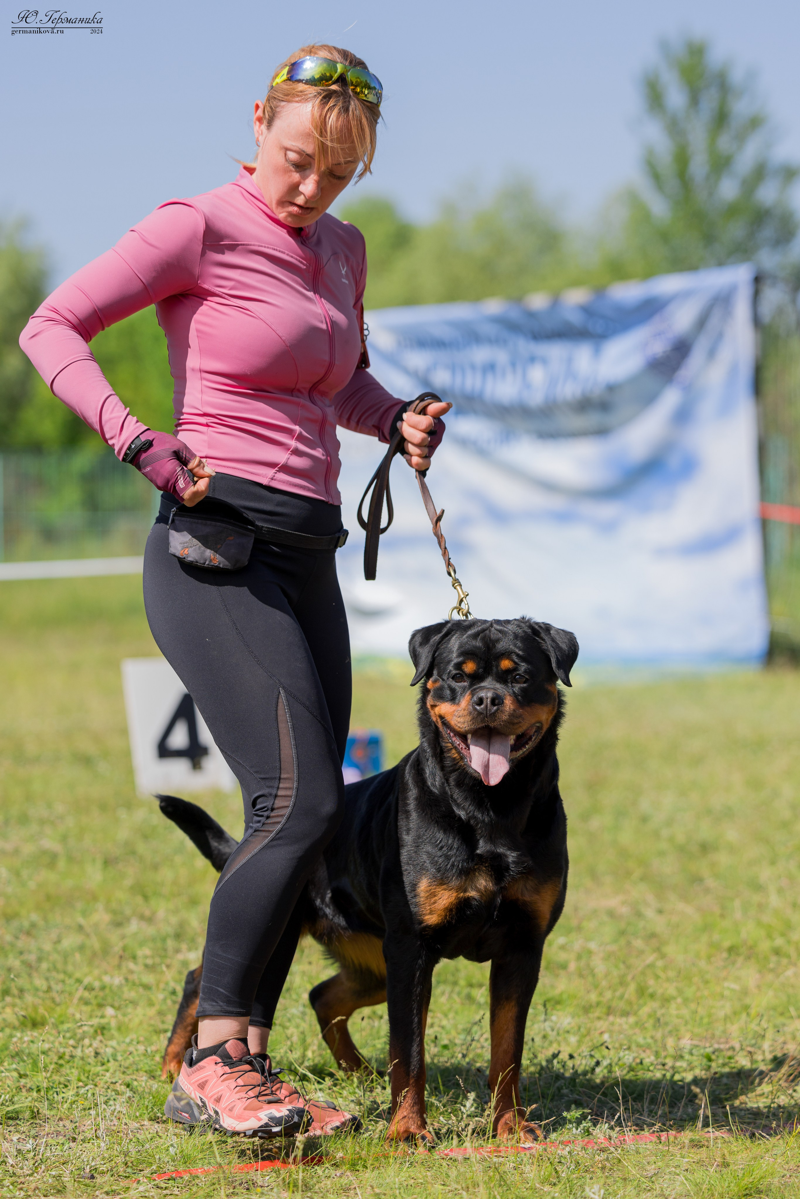 Воронеж моно ротвейлеров 25-26.05.2024. Фотограф-анималист Юлия Германика