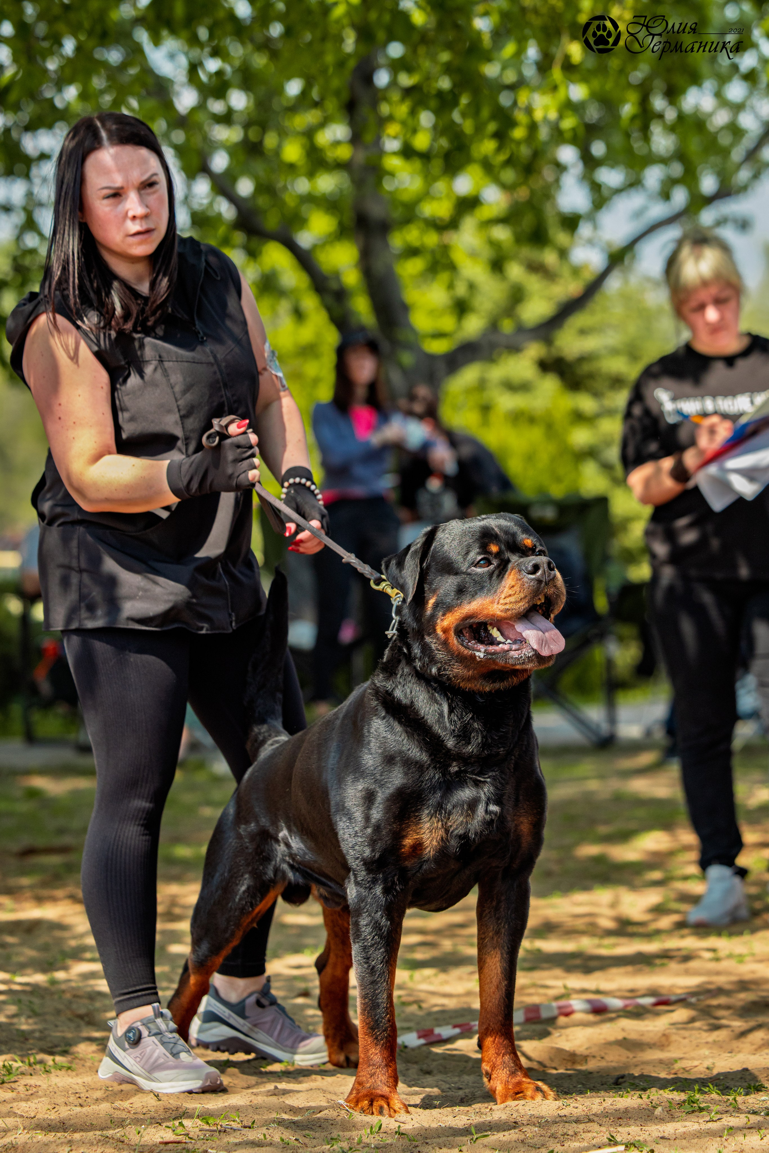 Саратов моно ротвейлеров 26-27.04.2025. Фотограф-анималист Юлия Германика