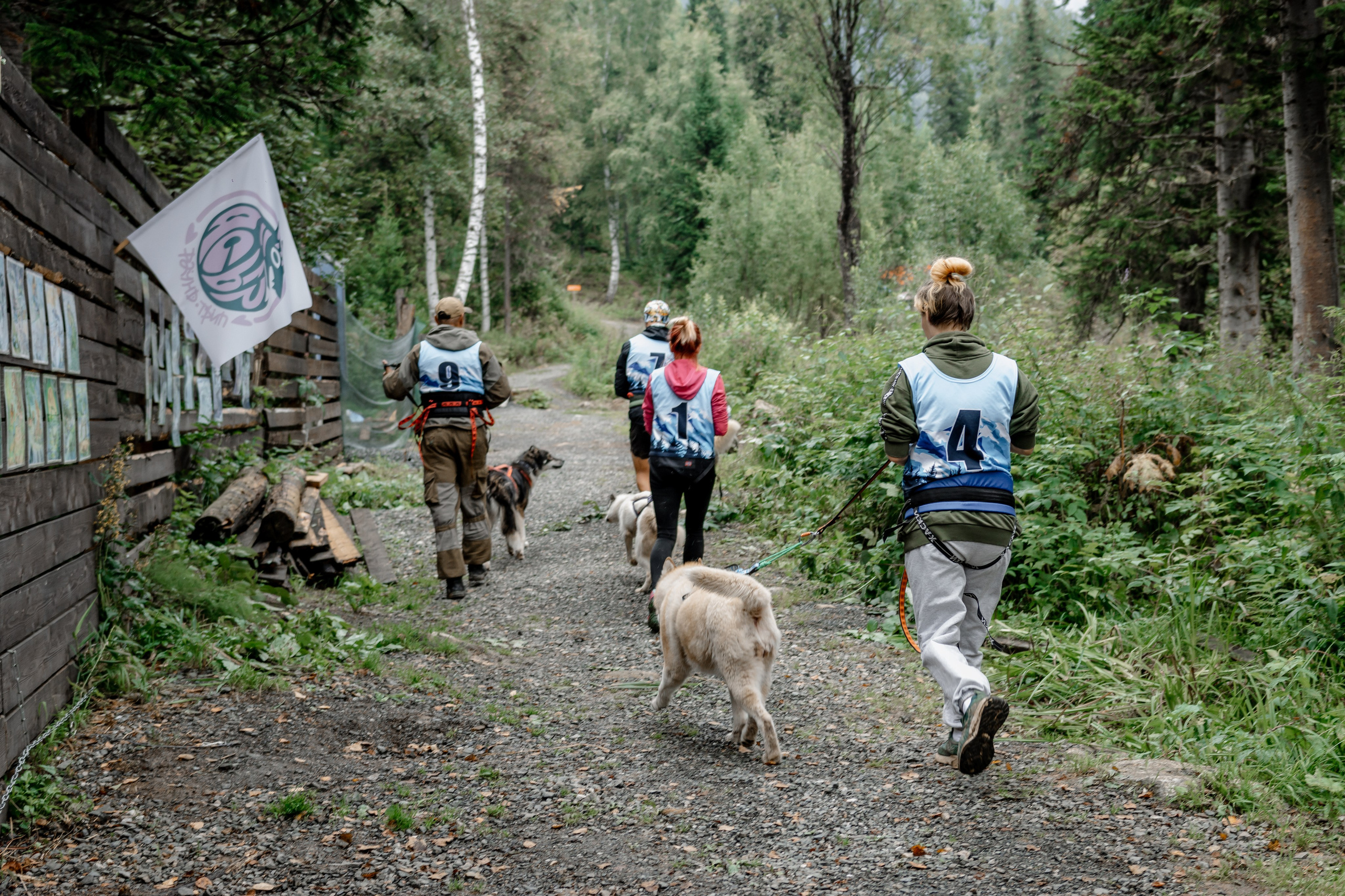 Дог-треккинг