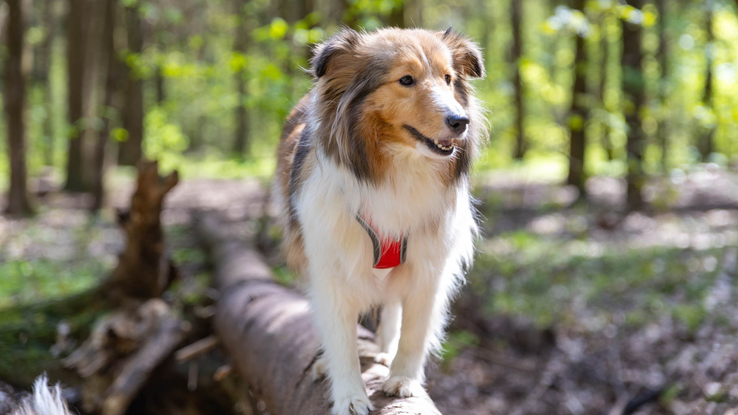 202404 Элис и Лора. Фотографии