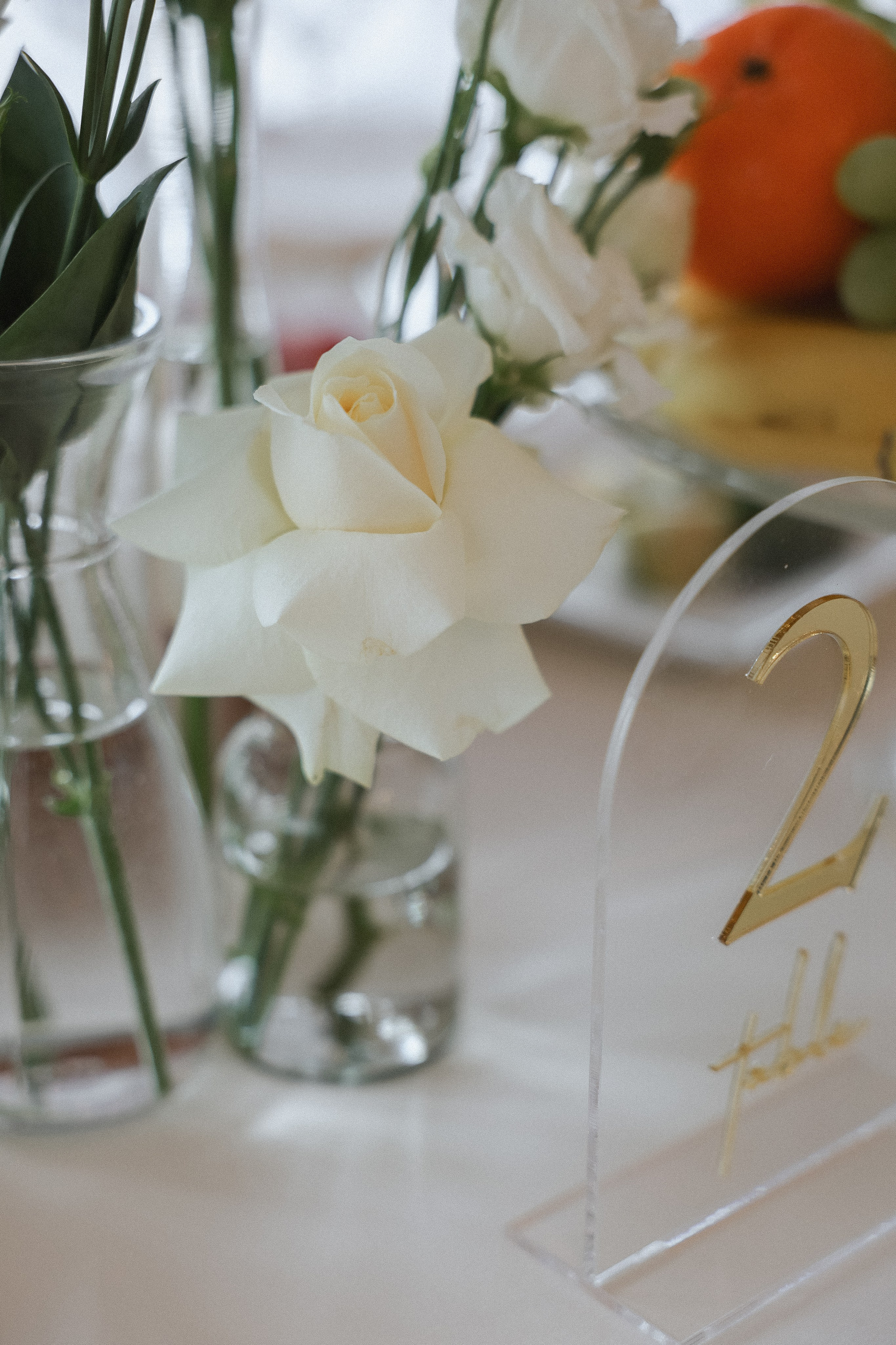 Дмитрий и Наталия Аркобалено. Kharchenkotatianaweddingphoto