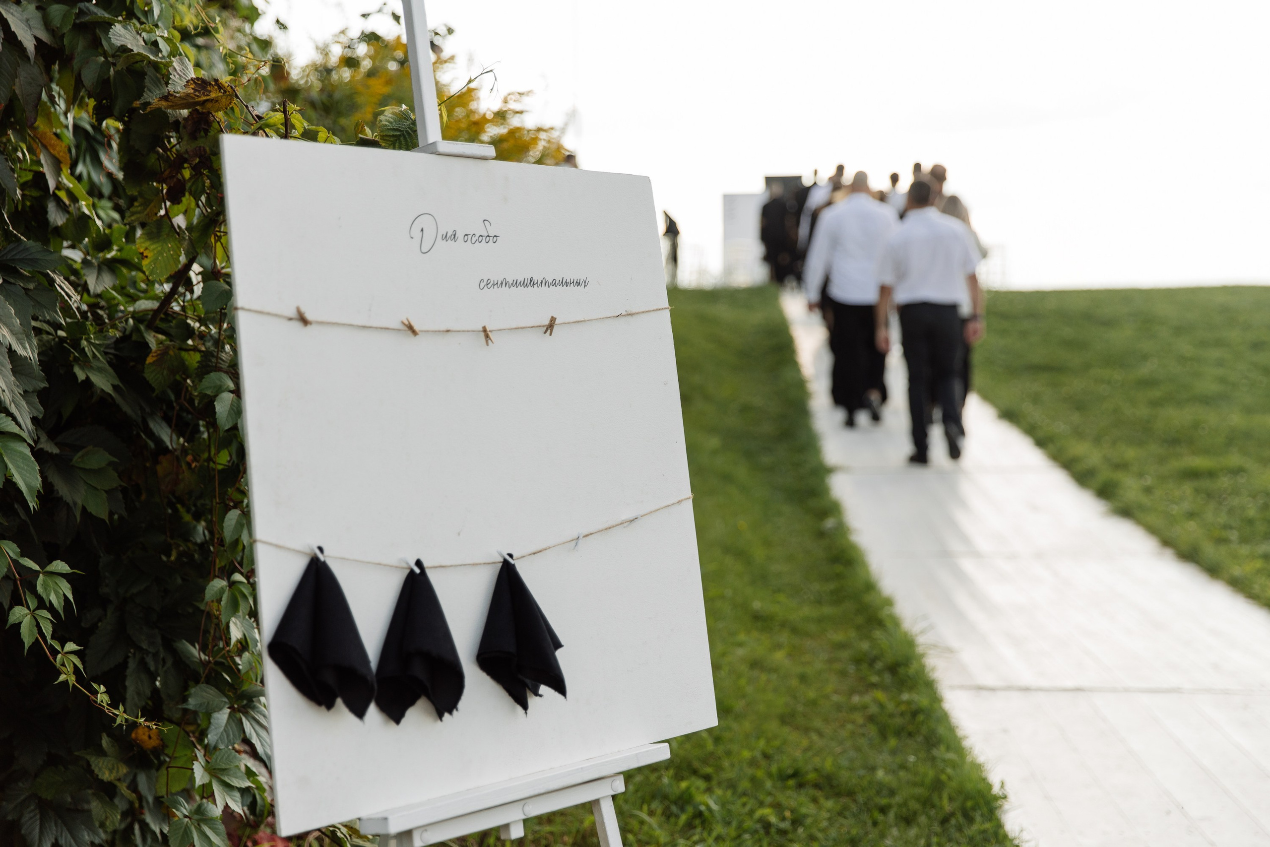 СВАДЕБНЫЕ СЕРИИ. Свадебный фотограф Дмитрий Воробьев Ярославль