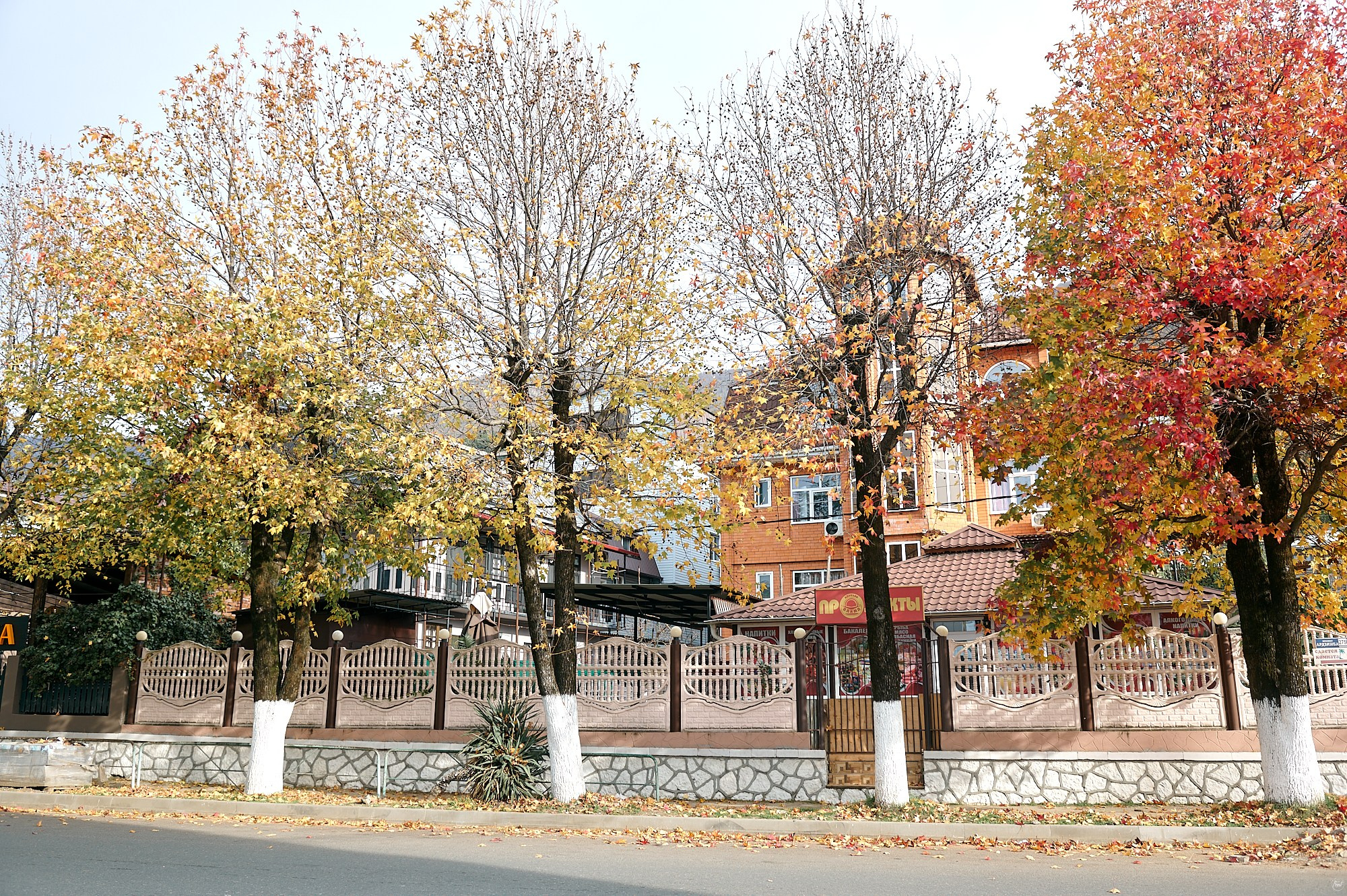 Гагра, Абхазия. Декабрь 2024. Фотографии отовсюду и обо всем