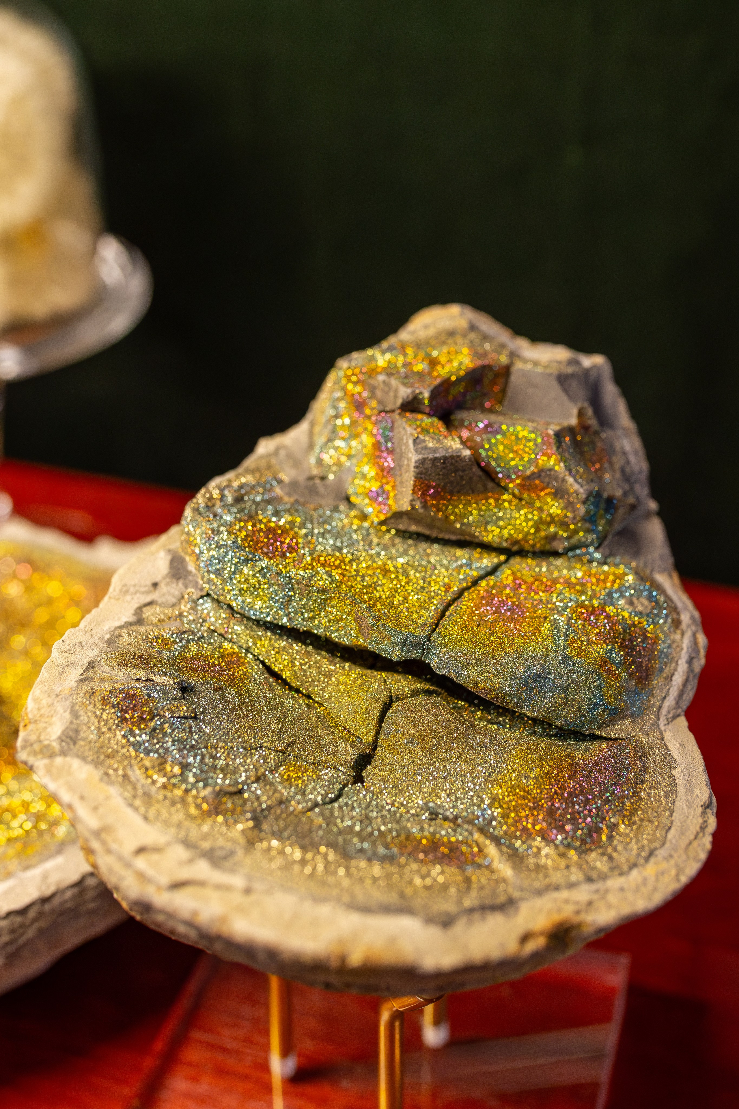 Монстериум 11–12 октября. Александра Куликова фотограф, Москва