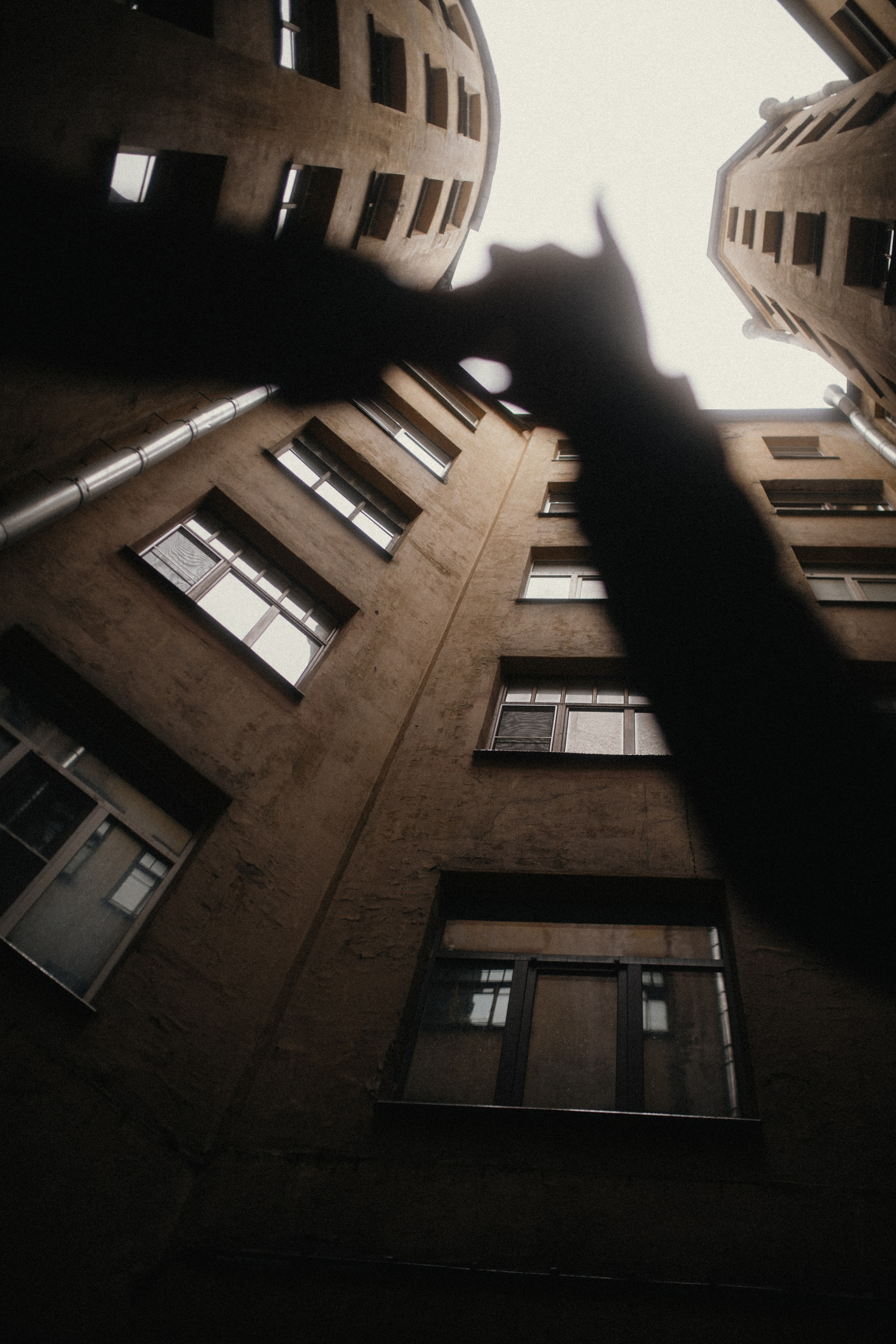 На Петроградской. Фотограф в Санкт Петербурге Лара Великова