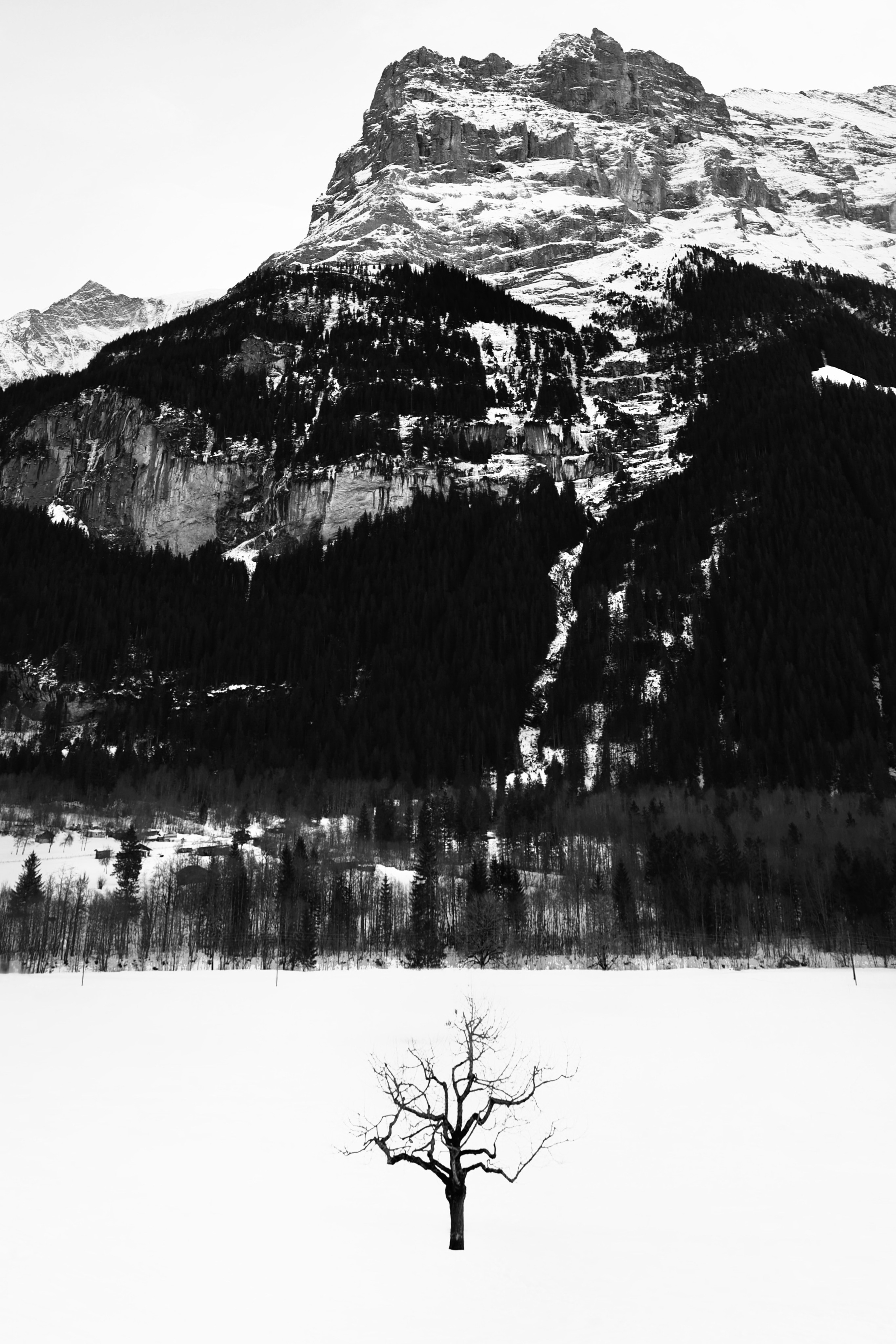 Портфолио. Фотограф в Москве