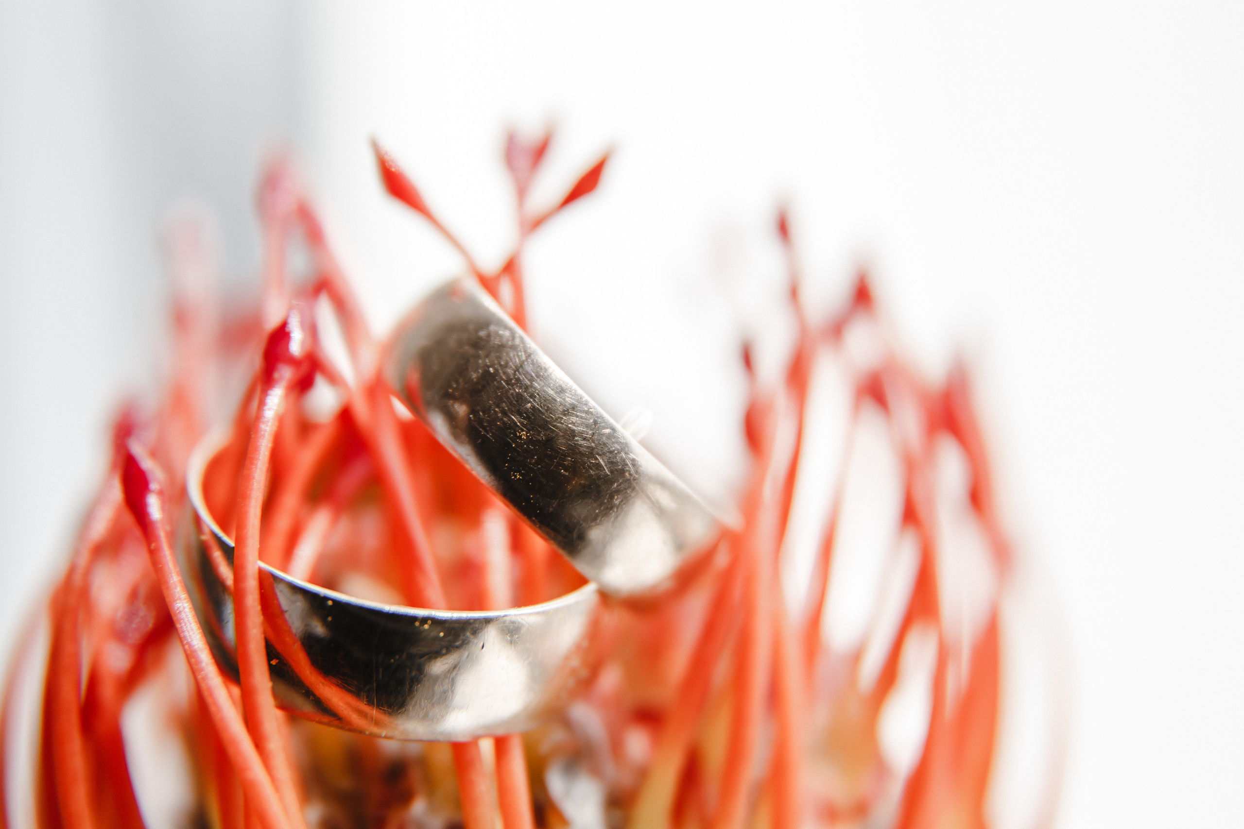 Александр и Дарья. Свадебный организатор Анна Лобода