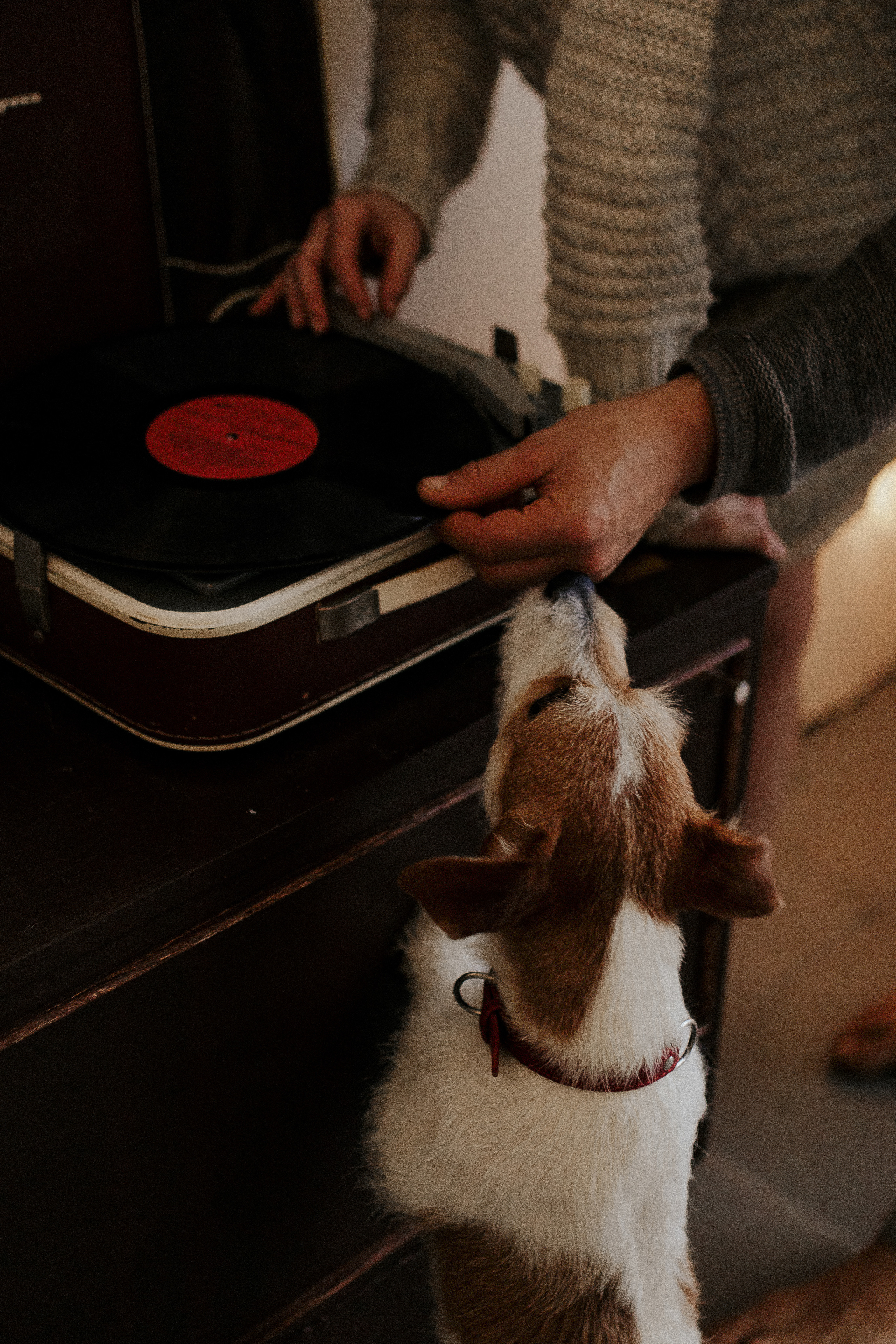 Совместная игра в дженгу. Фотограф в Санкт-Петербурге Лиза Семченкова