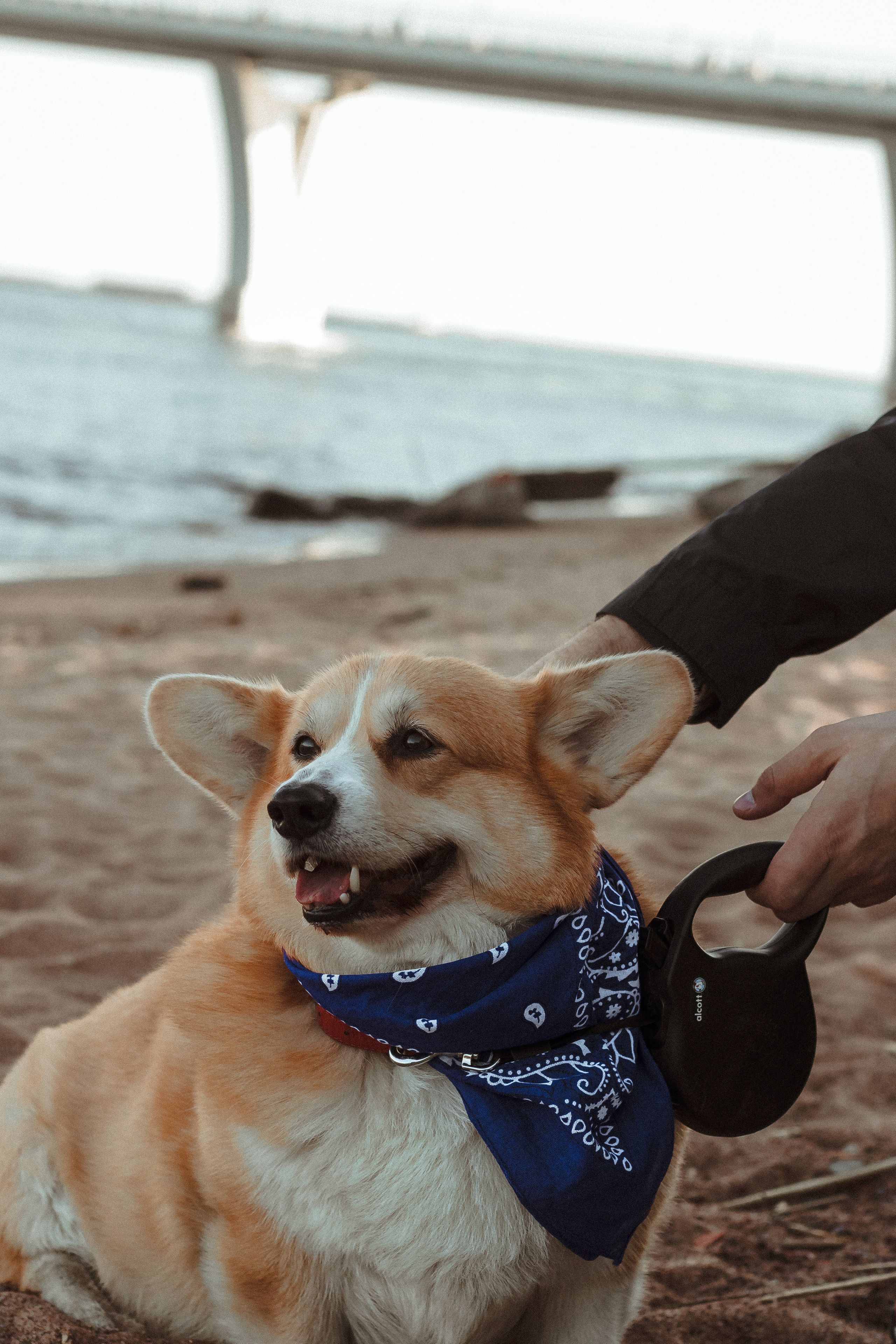 История любви на закате Спб. Фотограф в Санкт-Петербурге Лиза Семченкова