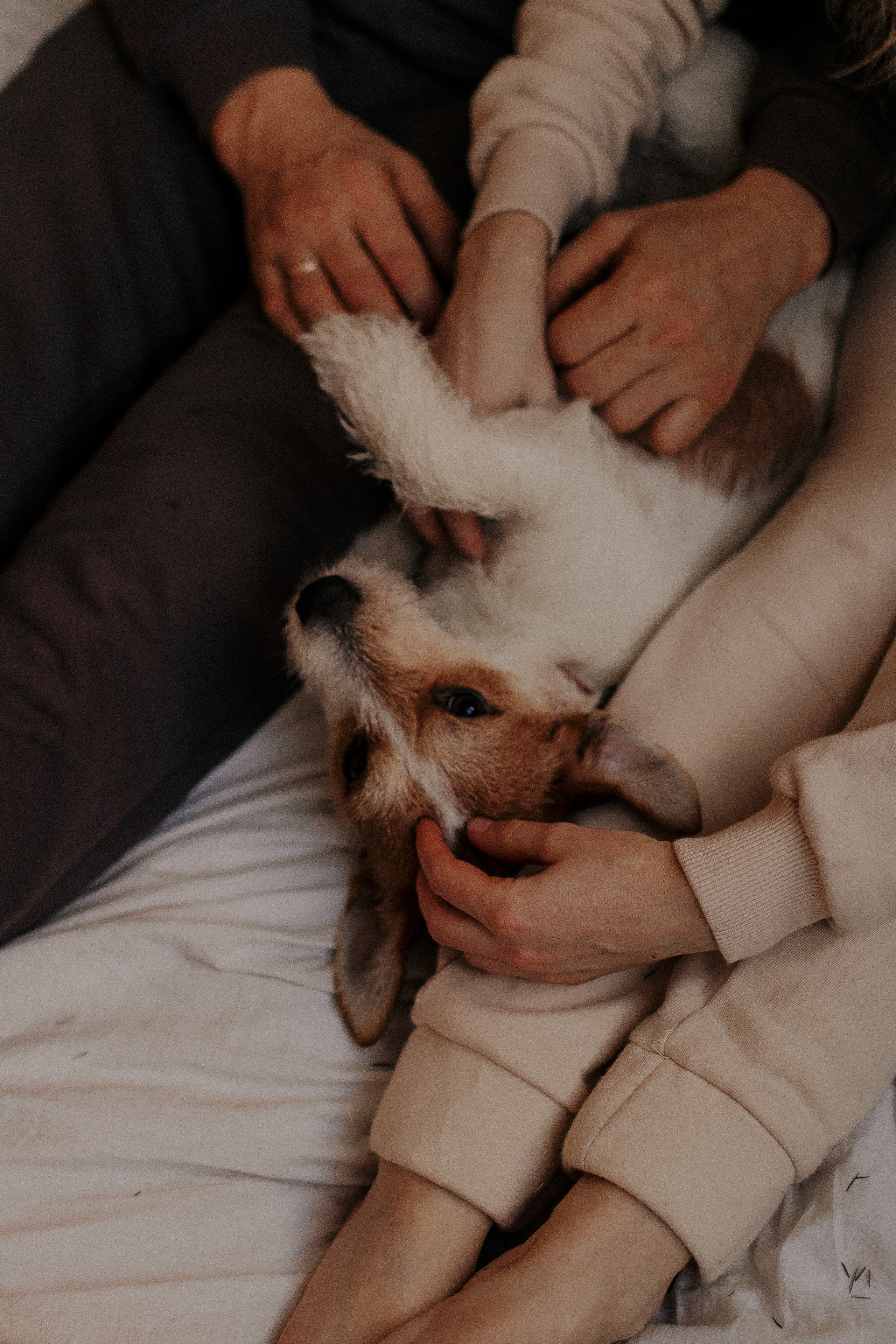 Совместная игра в дженгу. Фотограф в Санкт-Петербурге Лиза Семченкова