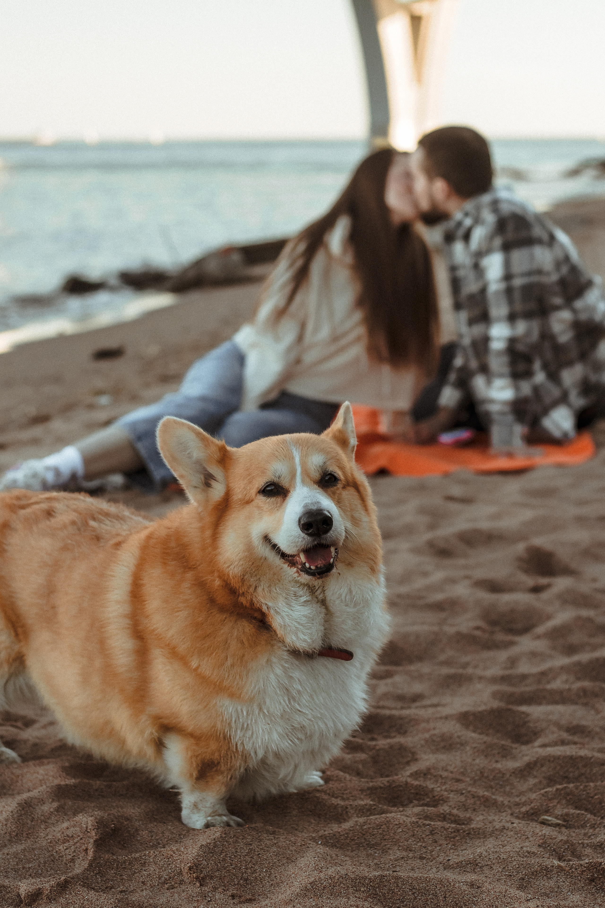 История любви на закате Спб. Фотограф в Санкт-Петербурге Лиза Семченкова